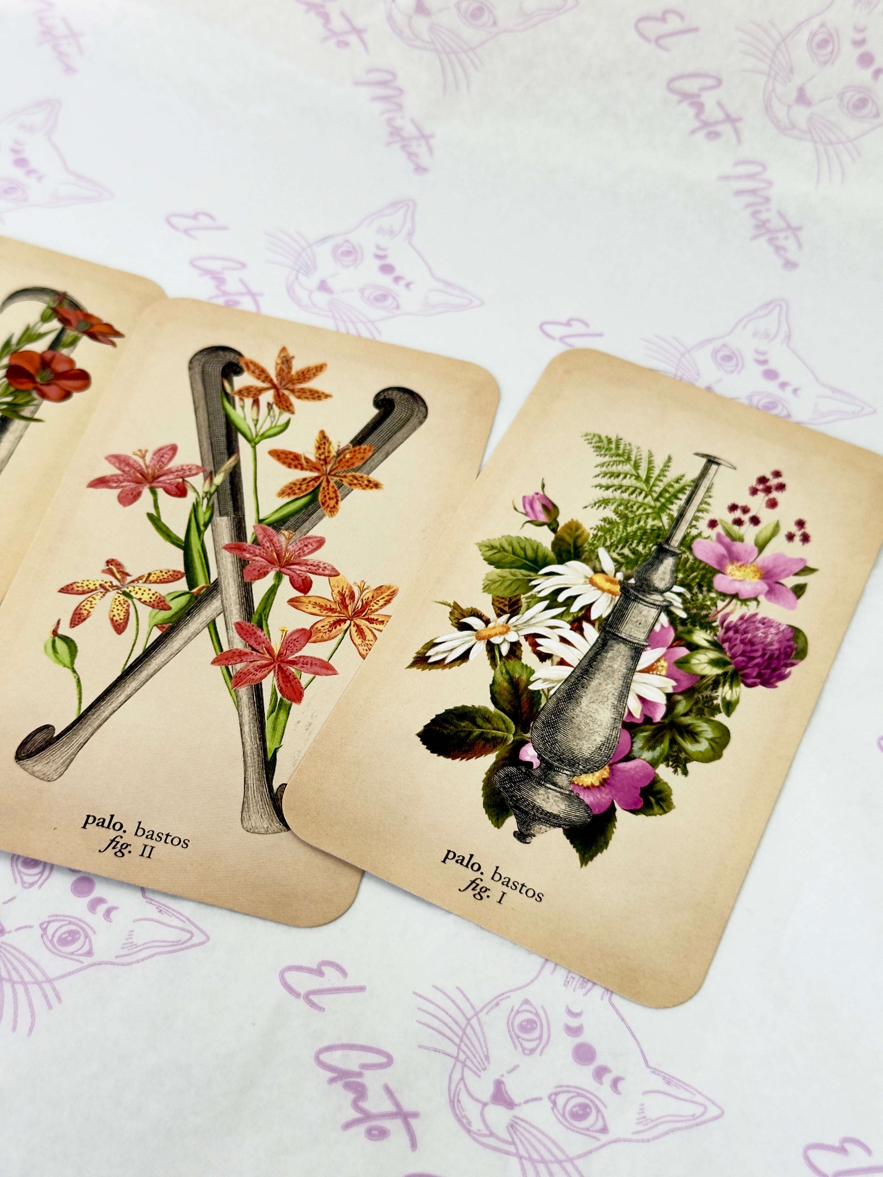 El Tarot de Anatomía y Botánica Antiguas | Baraja y Manual para el Lector Moderno