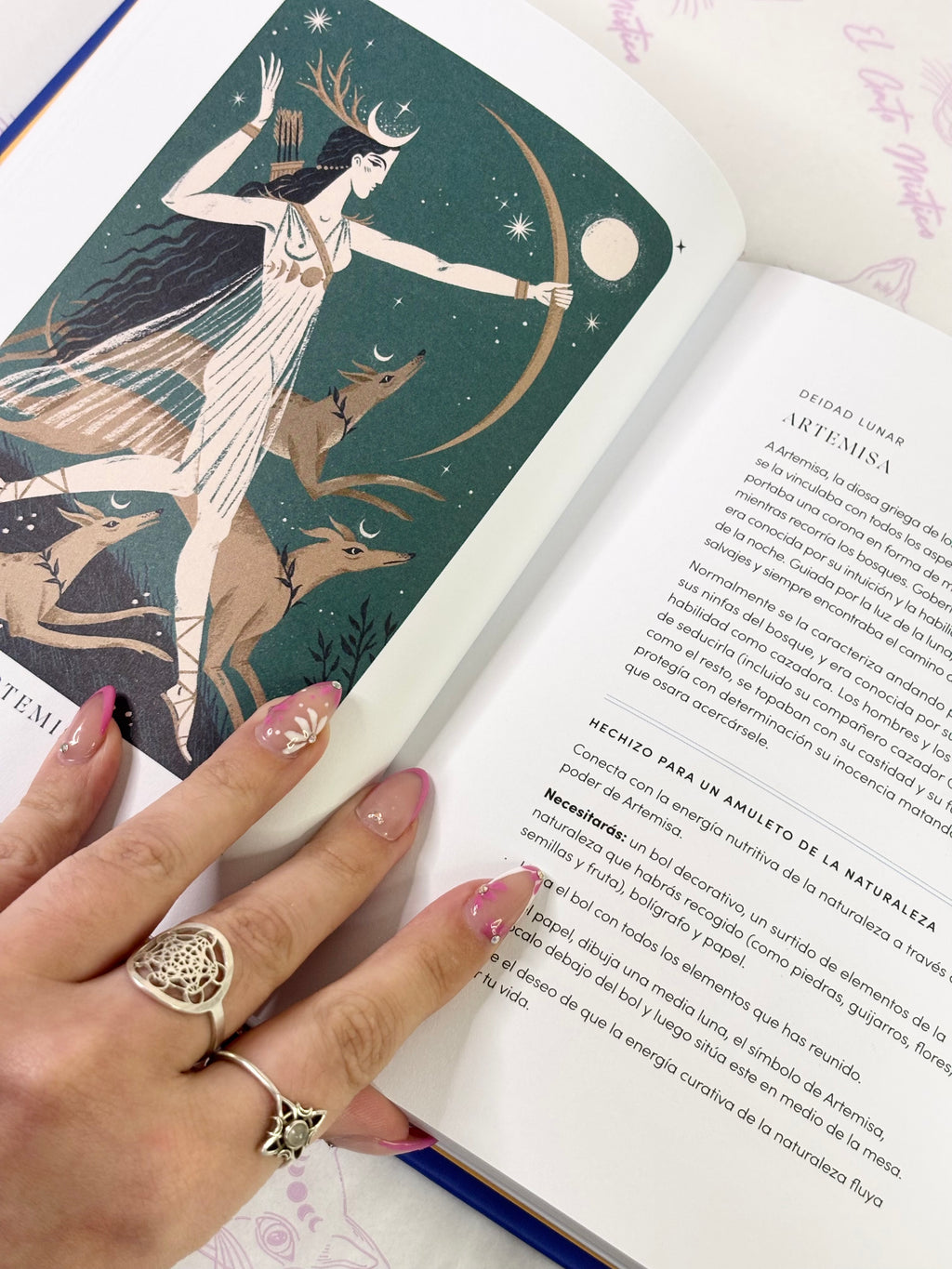 La Magia de tu Año Lunar | Secretos de cada estación