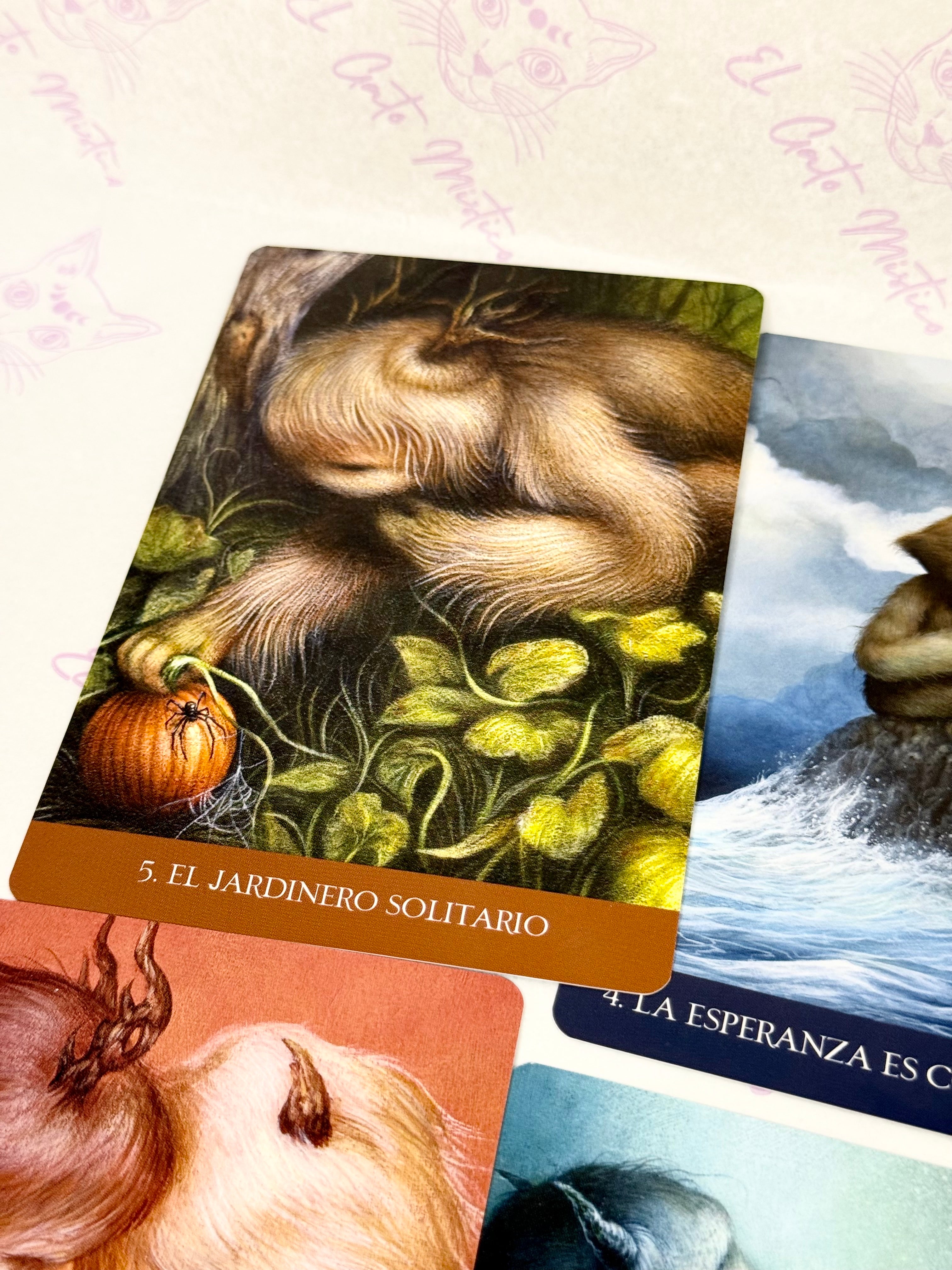 Oráculo En el Bosque Solitario | Bendiciones y Mensajes para momentos de soledad