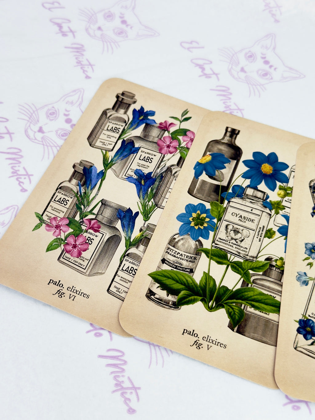 El Tarot de Anatomía y Botánica Antiguas | Baraja y Manual para el Lector Moderno