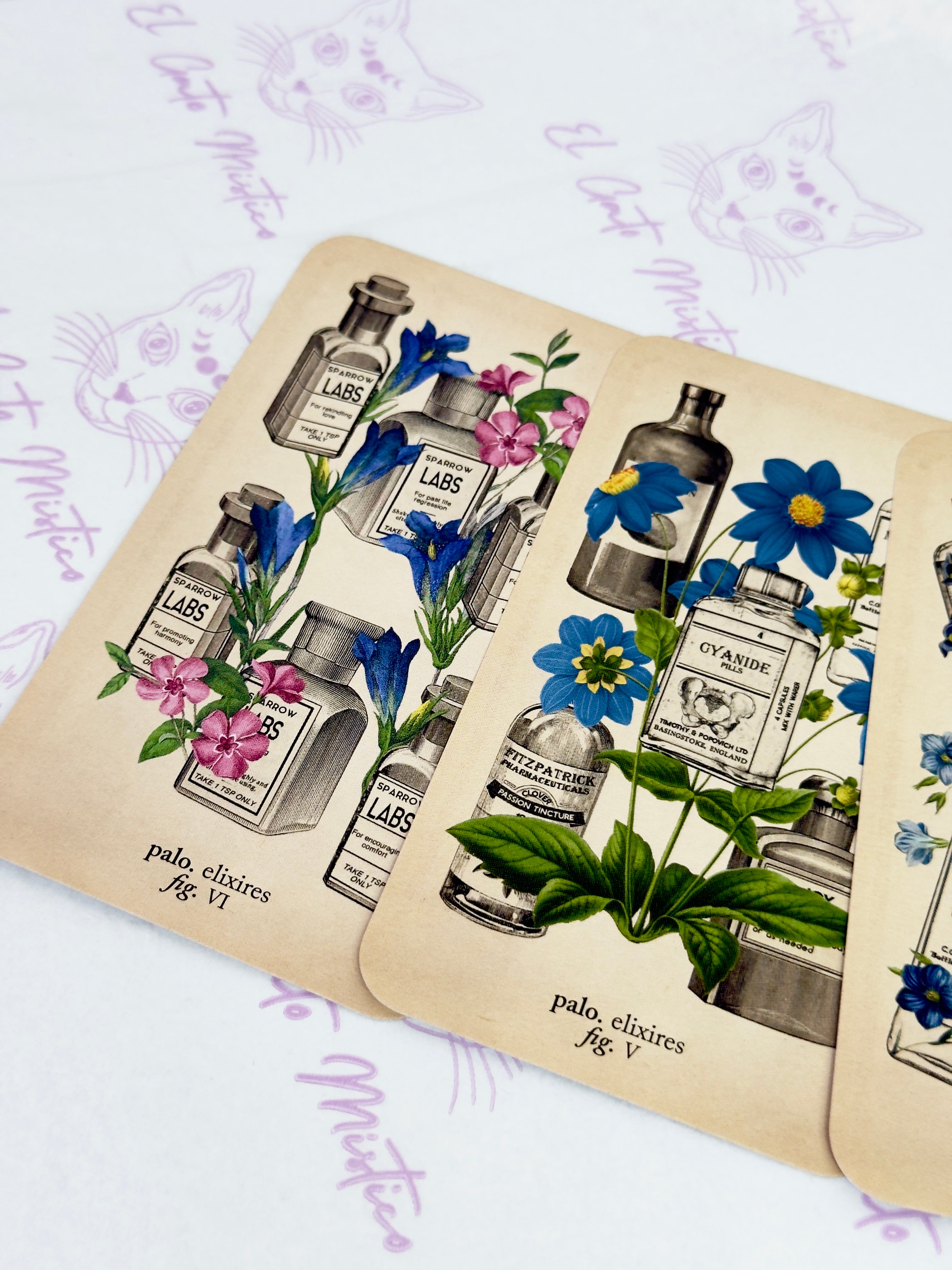 El Tarot de Anatomía y Botánica Antiguas | Baraja y Manual para el Lector Moderno