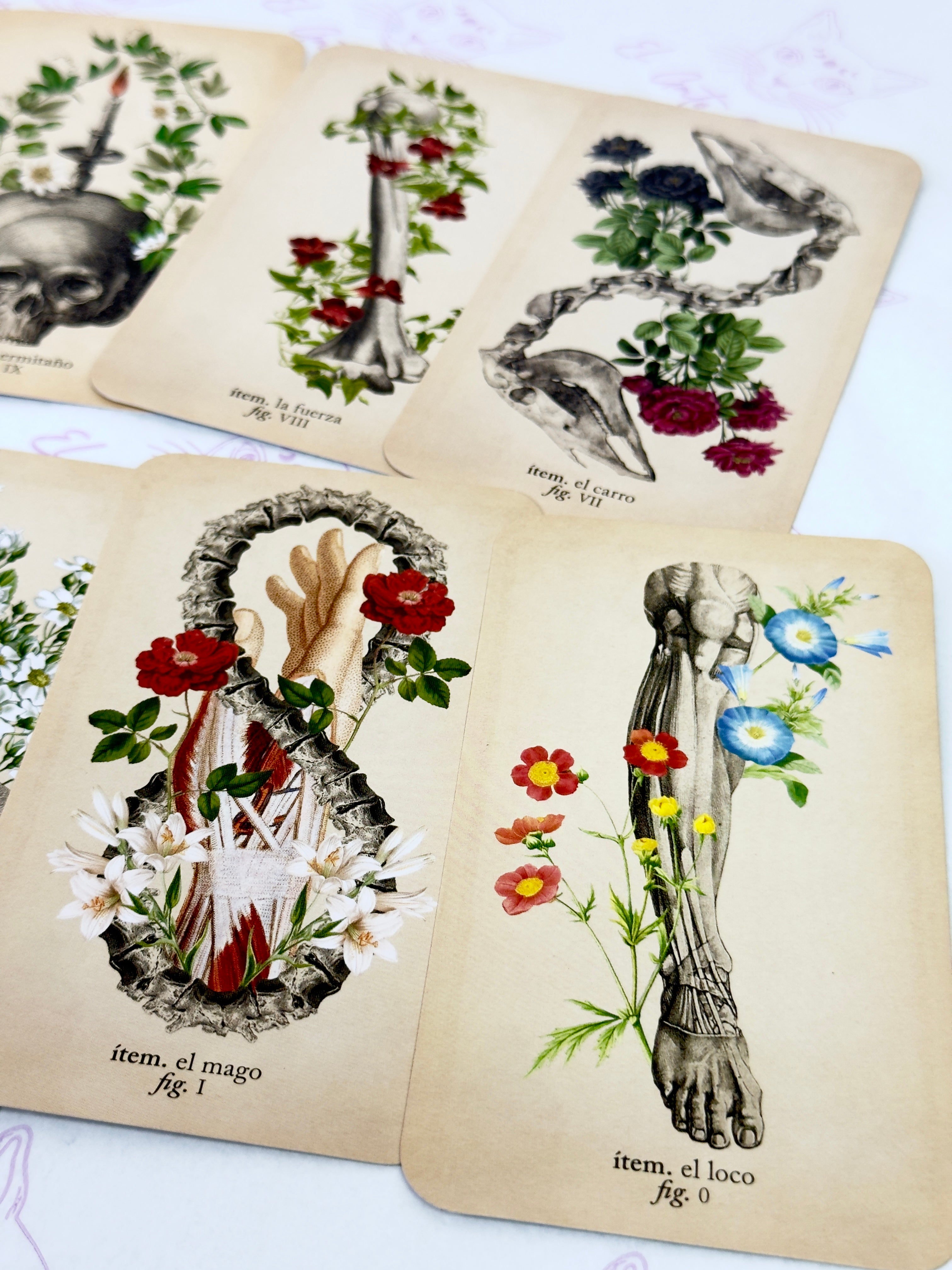 El Tarot de Anatomía y Botánica Antiguas | Baraja y Manual para el Lector Moderno