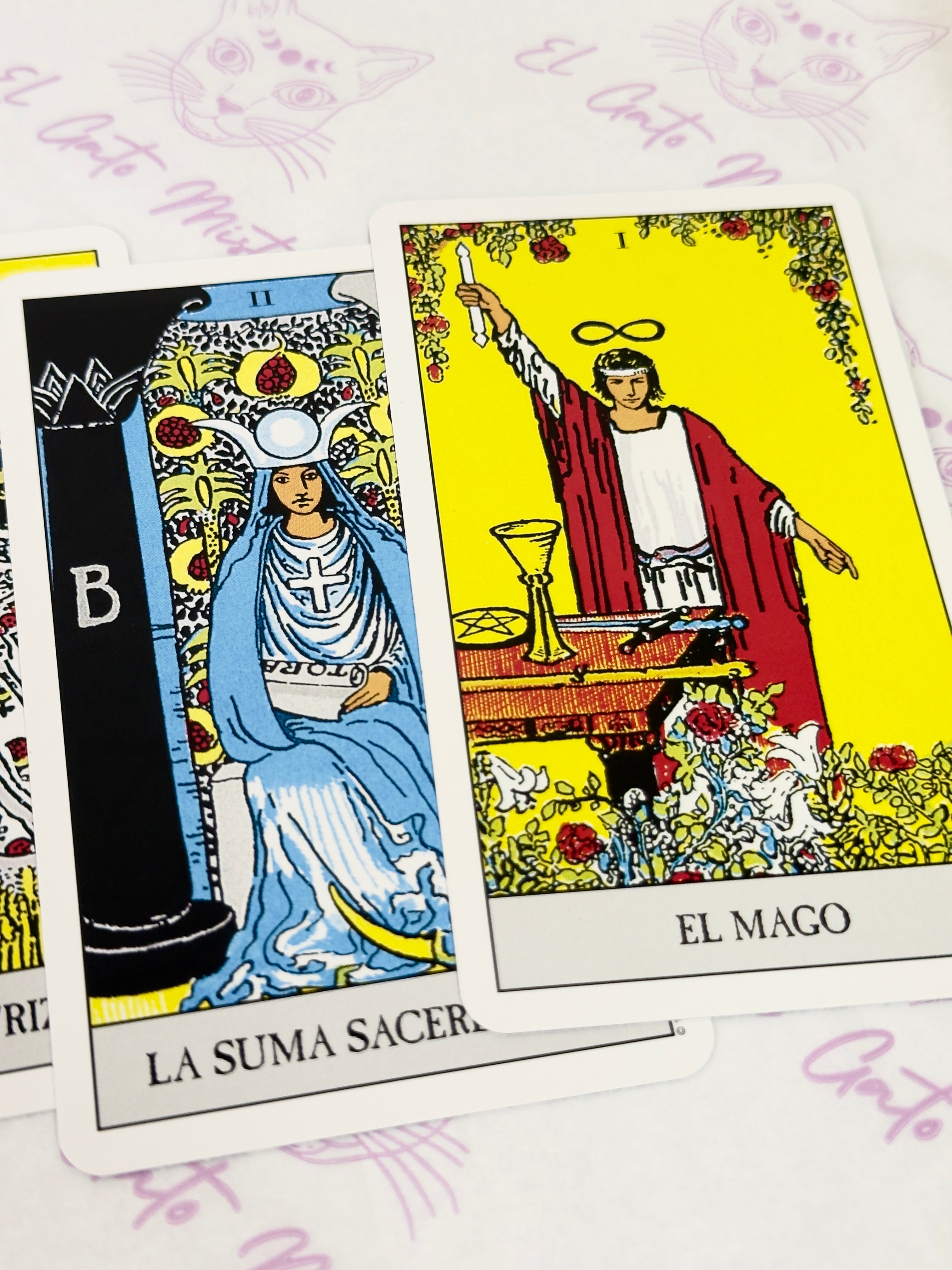 Tarot Rider el Espejo de la Vida | Libro y 78 cartas