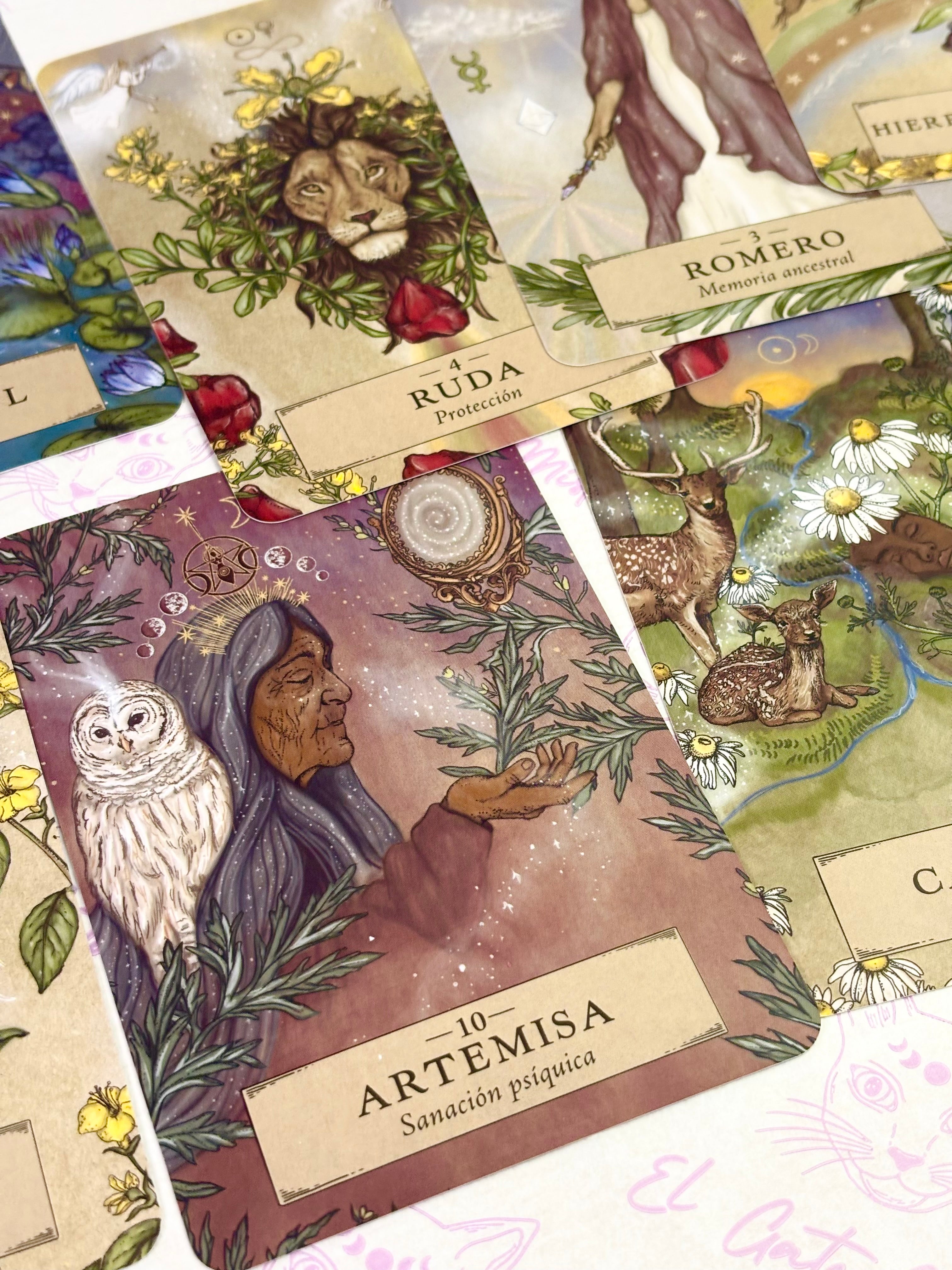 Astrología Herbal | Oráculo