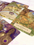 Astrología Herbal | Oráculo