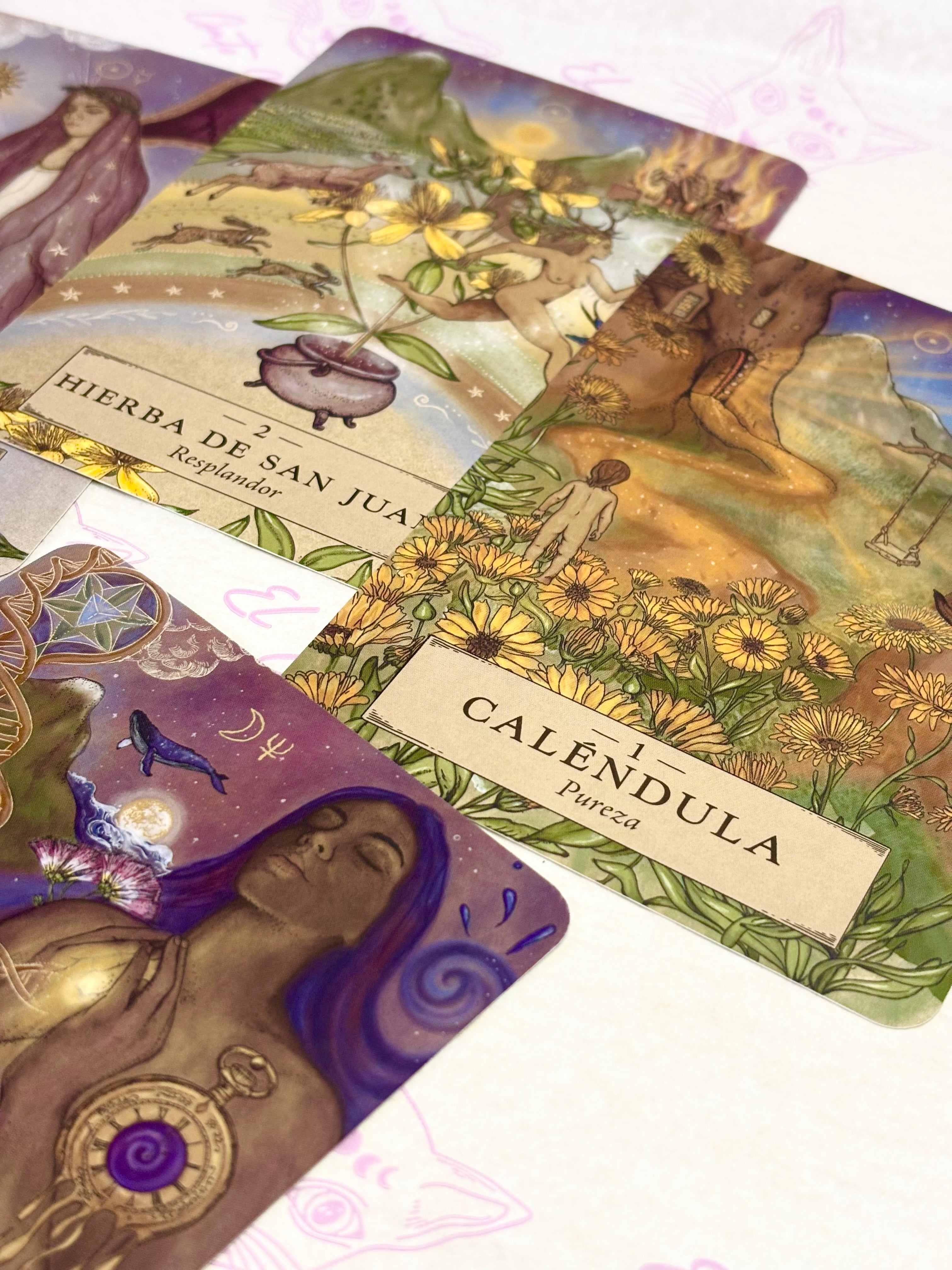 Astrología Herbal | Oráculo