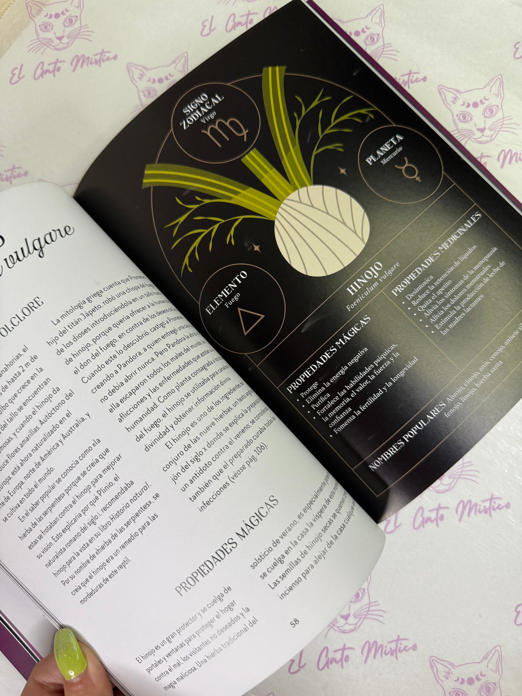 Magia Tradicional | Descubra la sabiduría de nuestros ancestros. Recurra al poder de las plantas