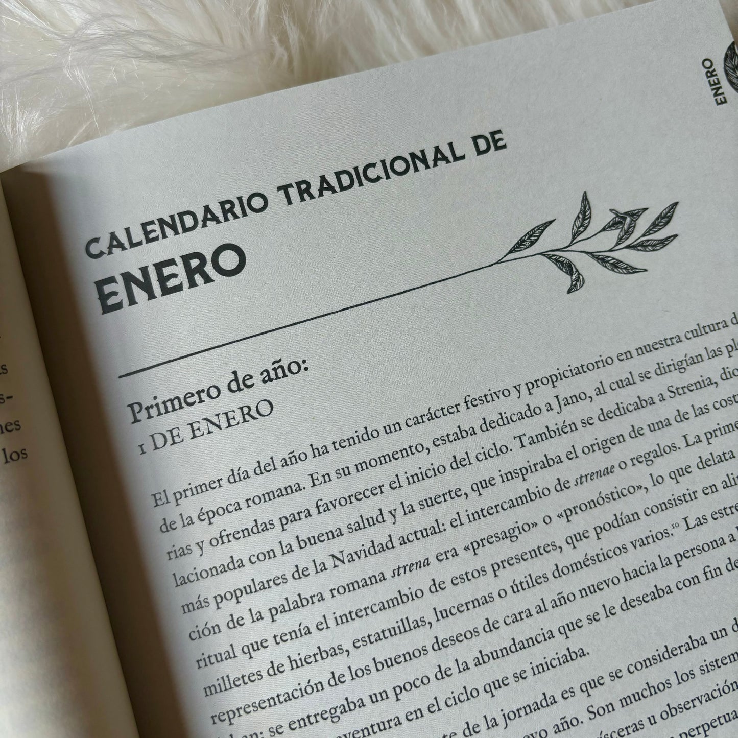 Almanaque de la Bruja Tradicional - Rituales, magia y folclore a lo largo del año