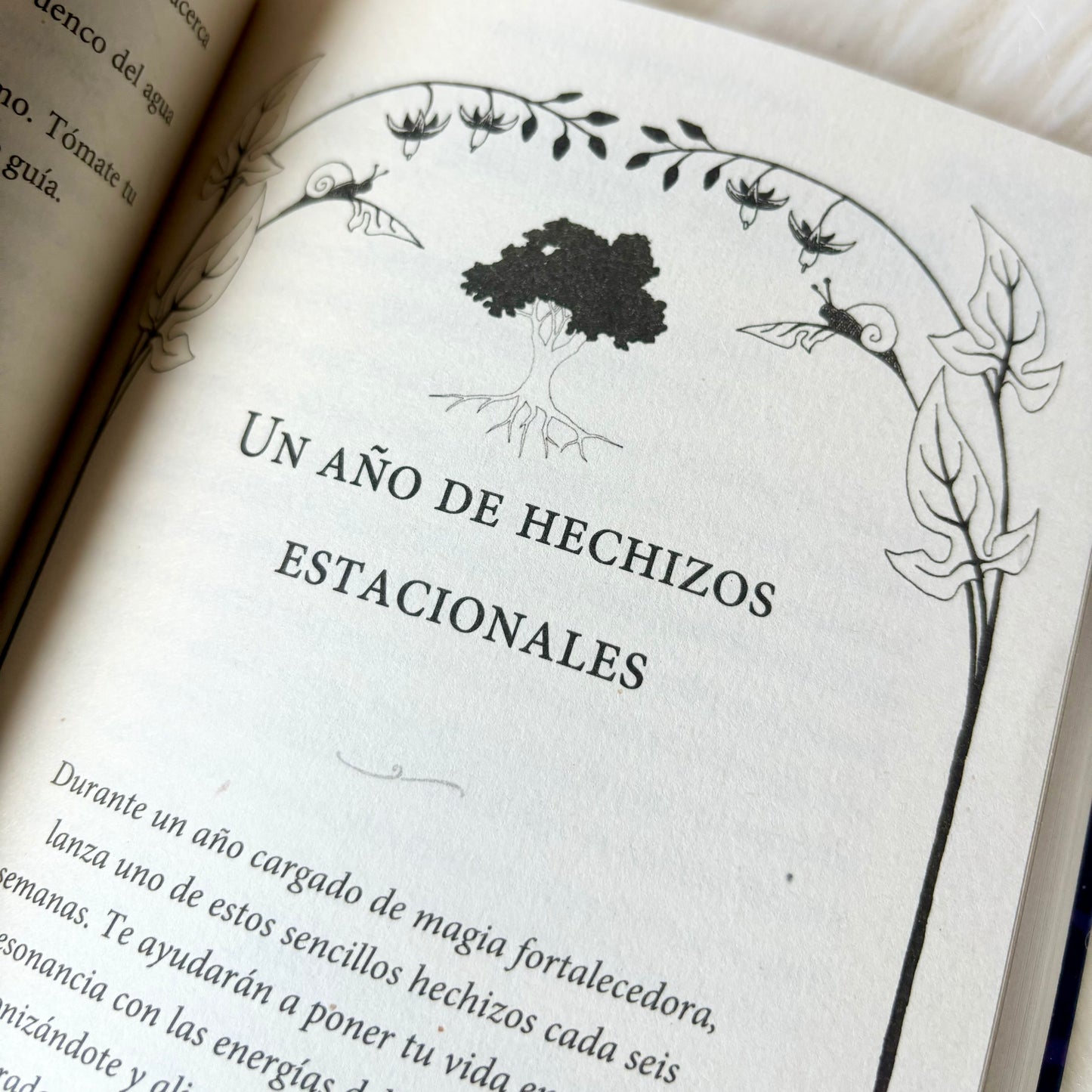 Hechizos para vivir bien - Sabiduría de brujas para vivir una vida maravillosa y plena