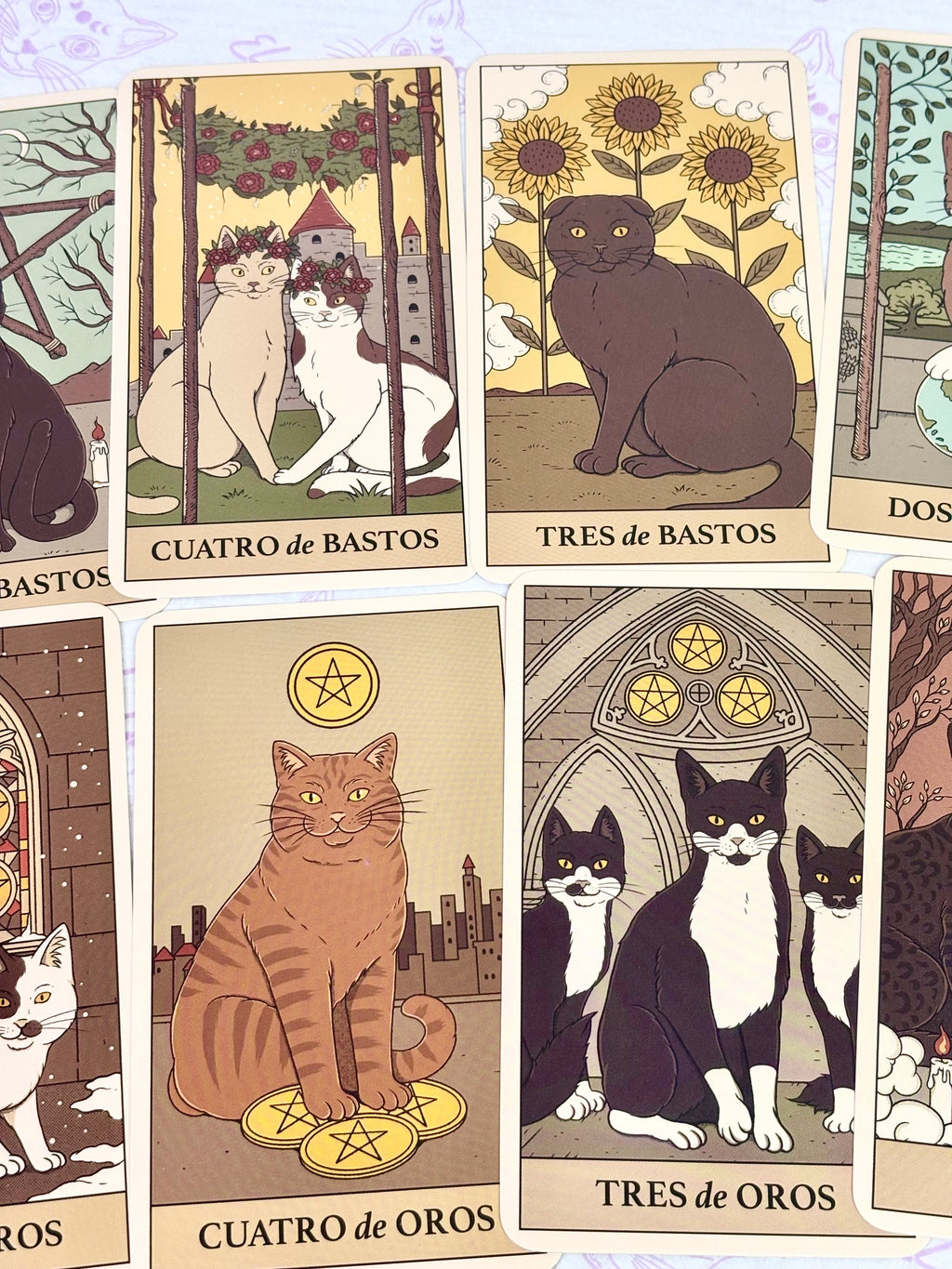 El Tarot de los Gatos. Estuche libro y cartas