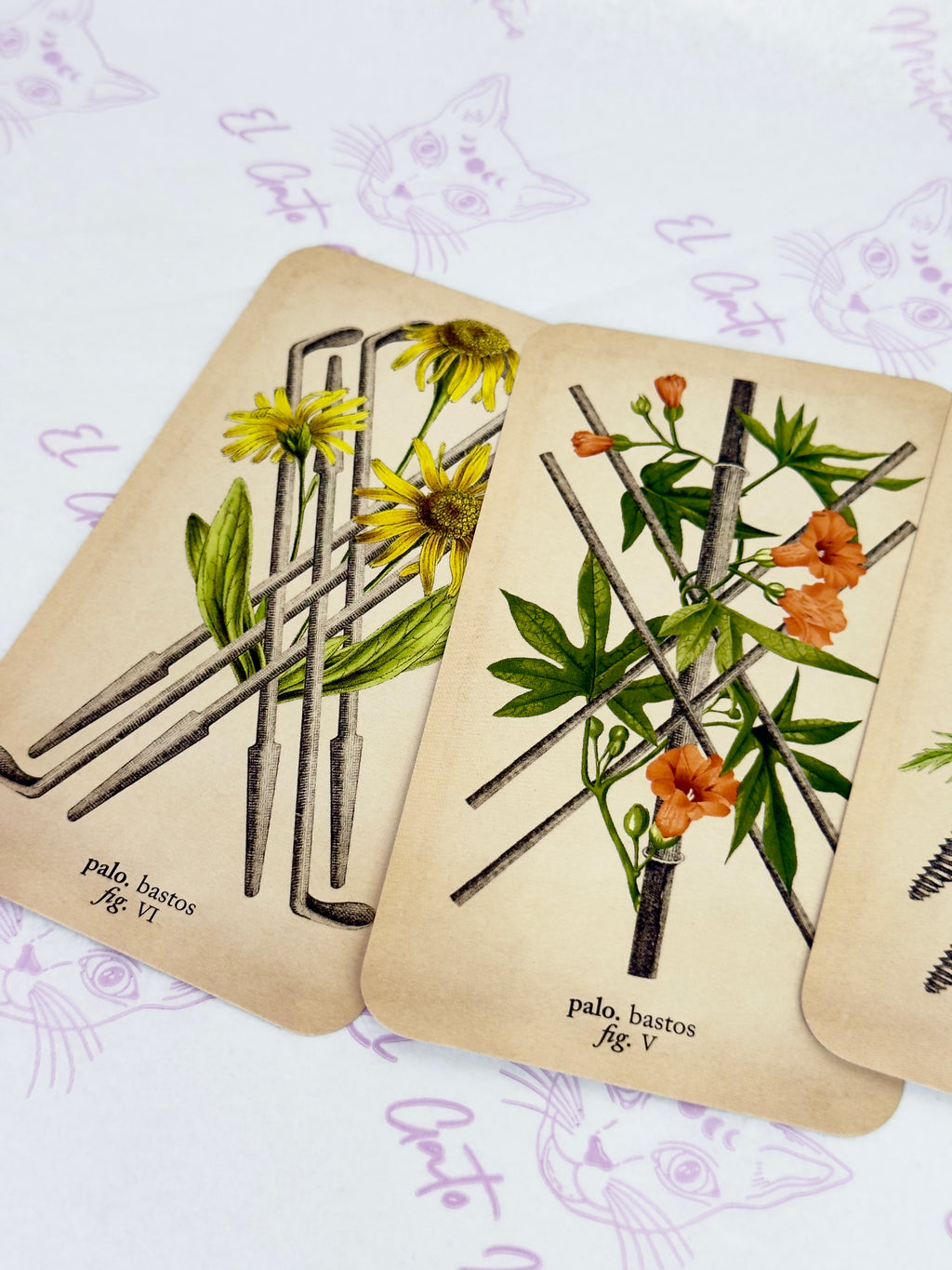 El Tarot de Anatomía y Botánica Antiguas | Baraja y Manual para el Lector Moderno