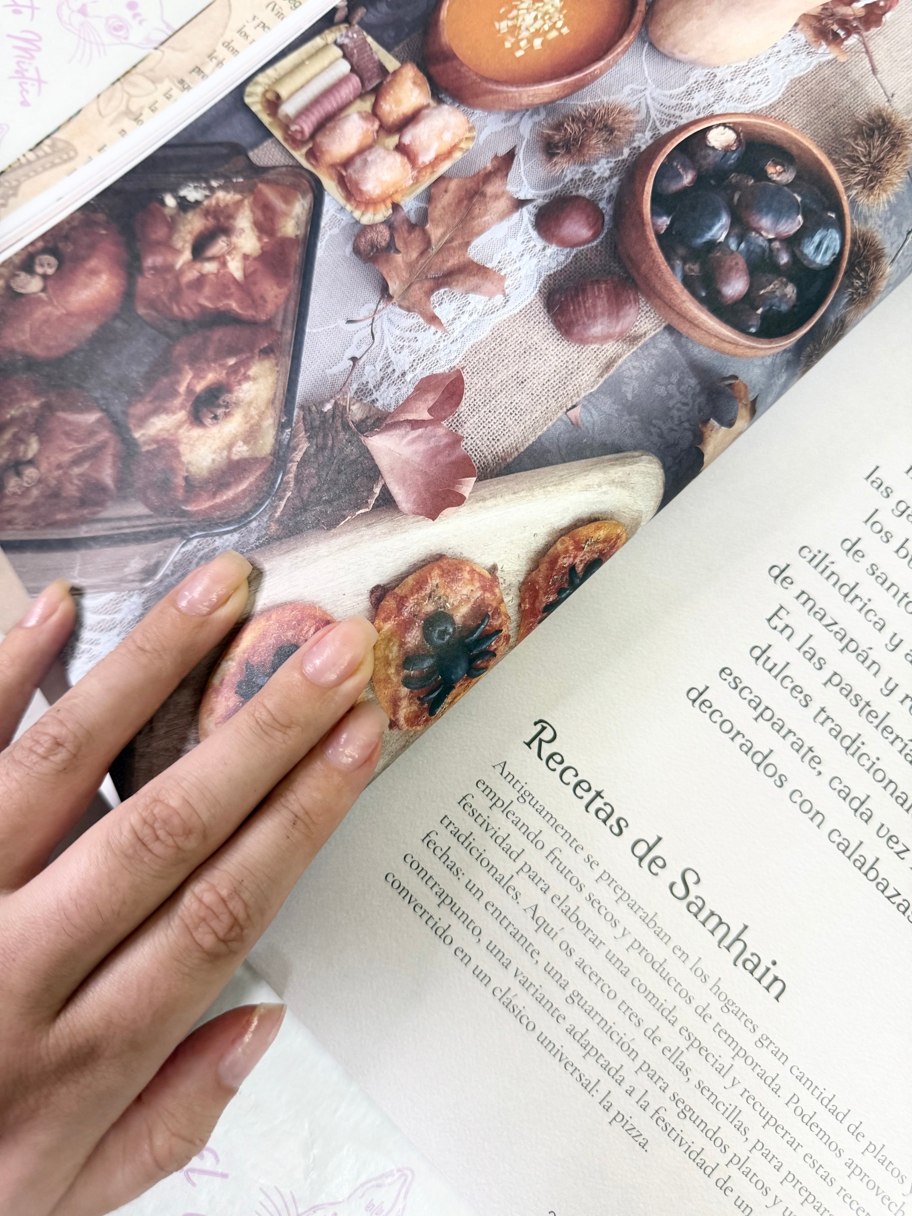 Tradición Silvestre | Celebra la Rueda del Año y te conecta con la naturaleza y sus ciclos