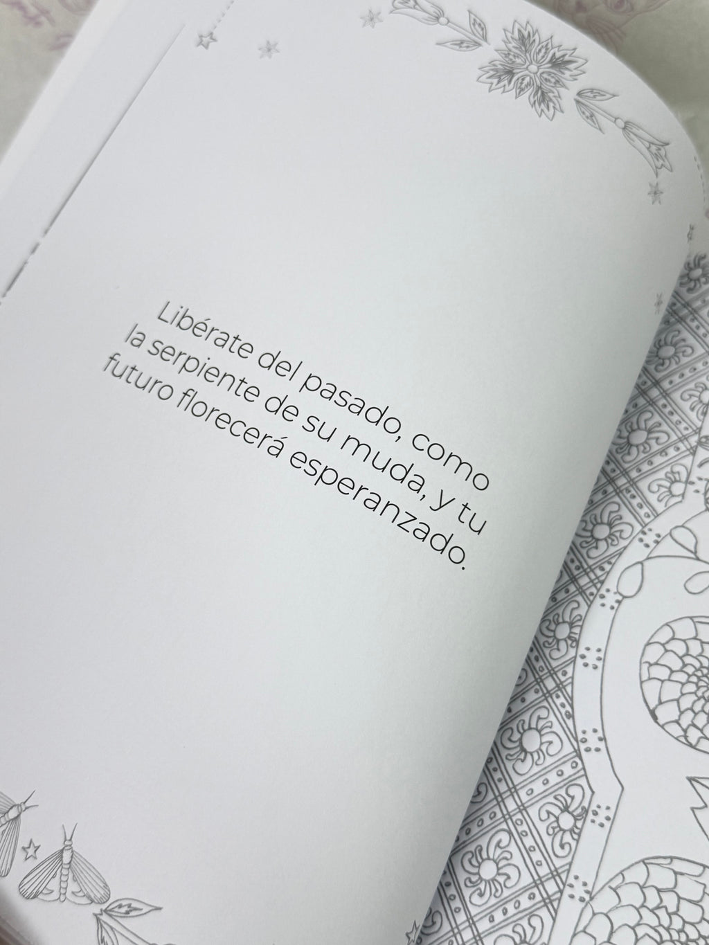 Tarot Secreto | Cuaderno para Colorear
