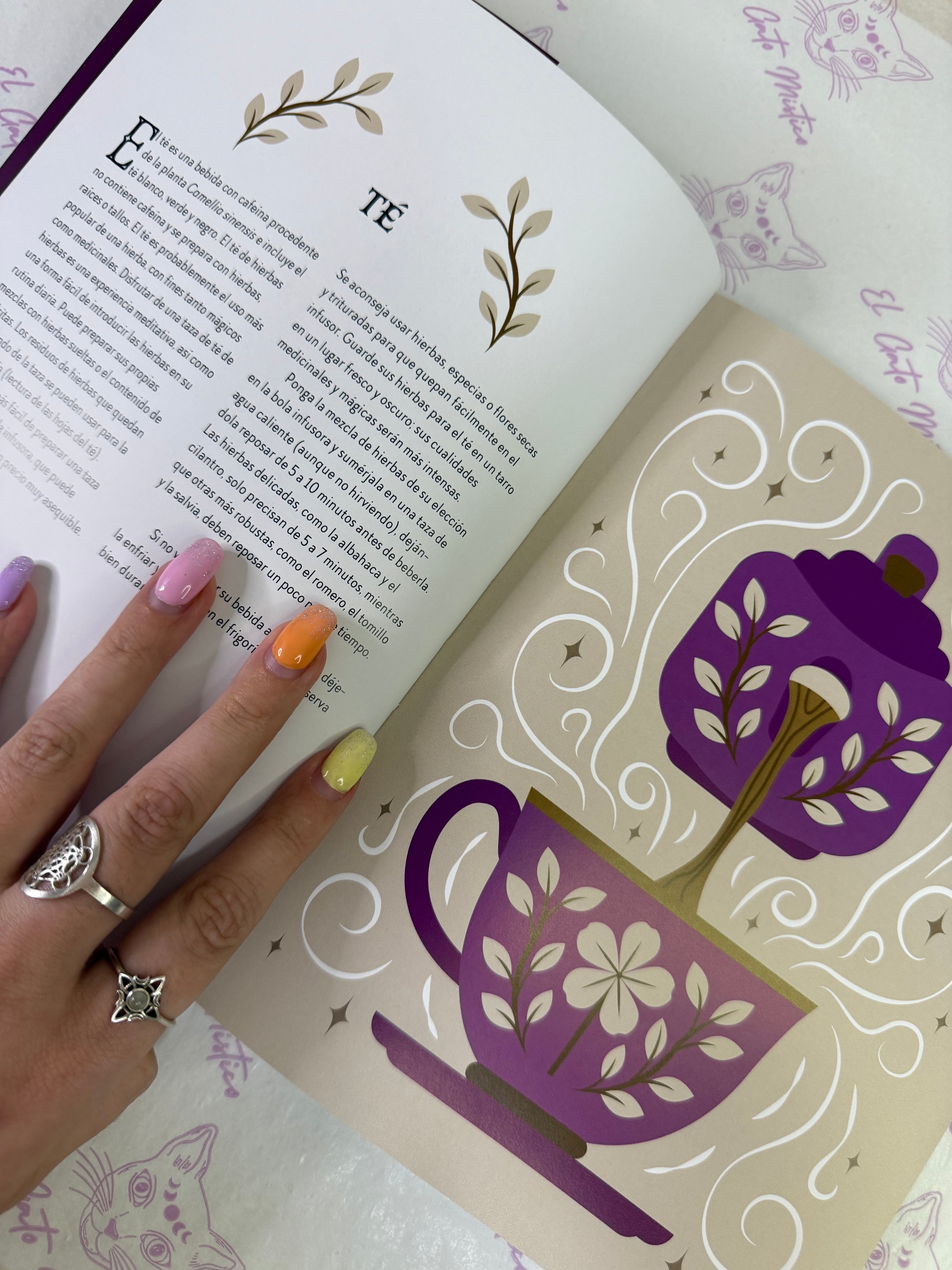 Magia Tradicional | Descubra la sabiduría de nuestros ancestros. Recurra al poder de las plantas