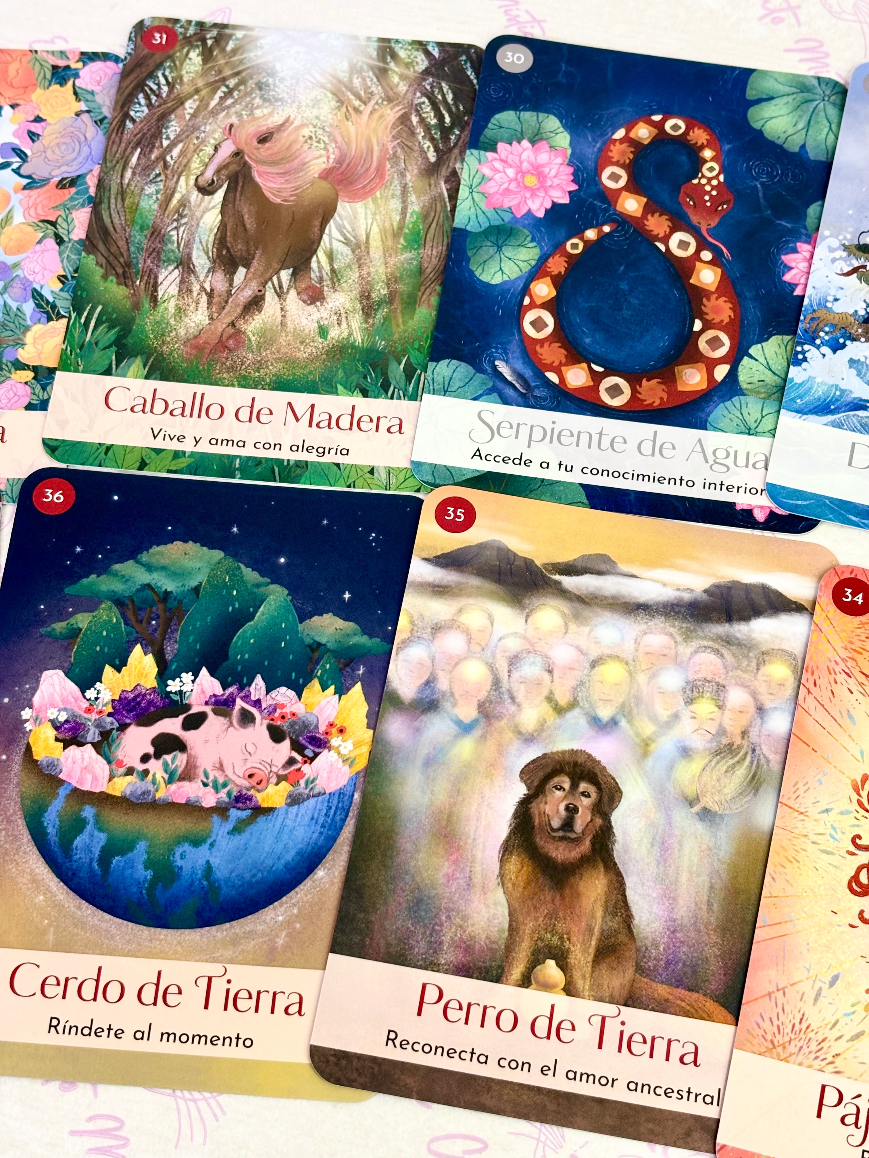 Los Cinco Elementos Chinos | Oráculo