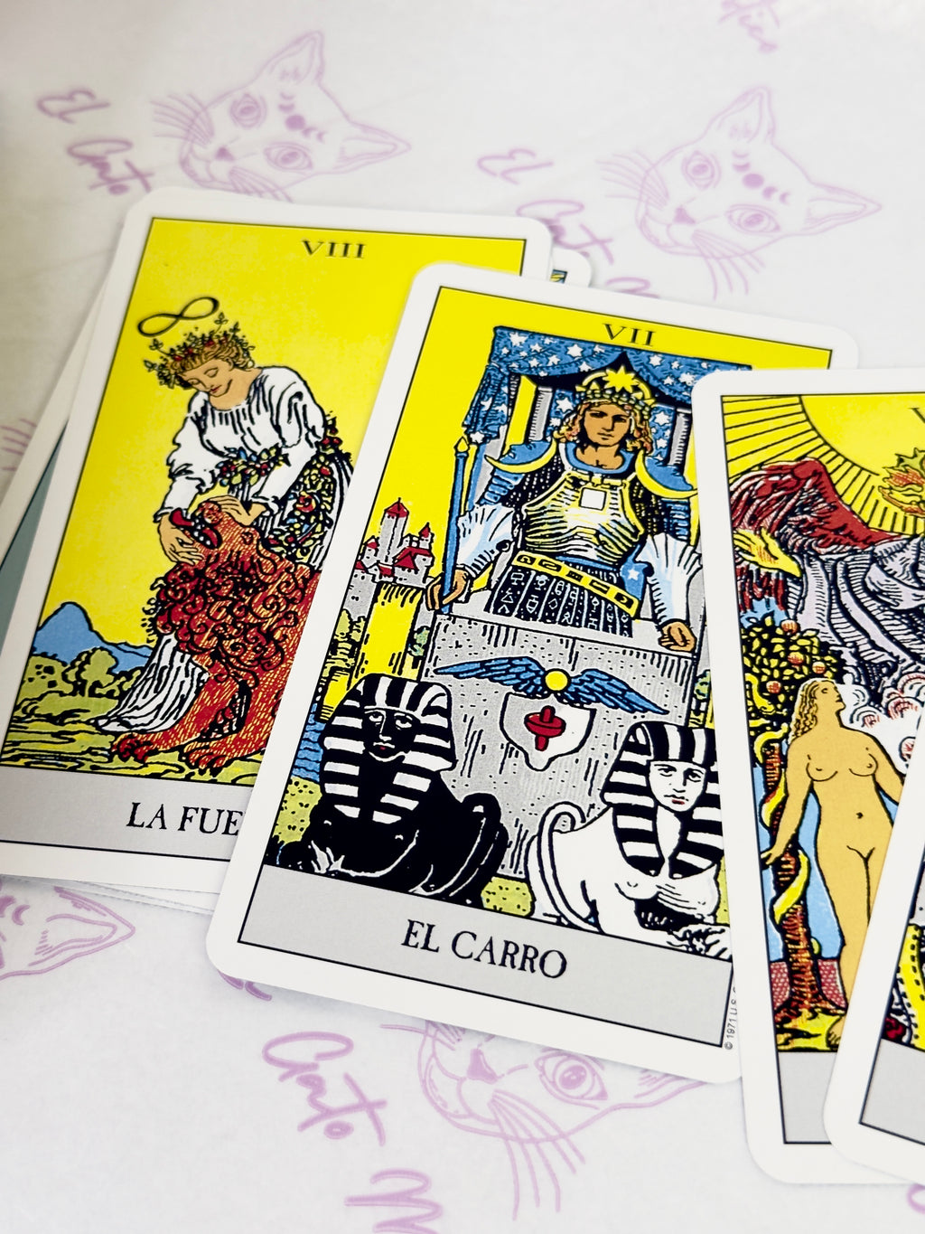 Tarot Rider el Espejo de la Vida | Libro y 78 cartas