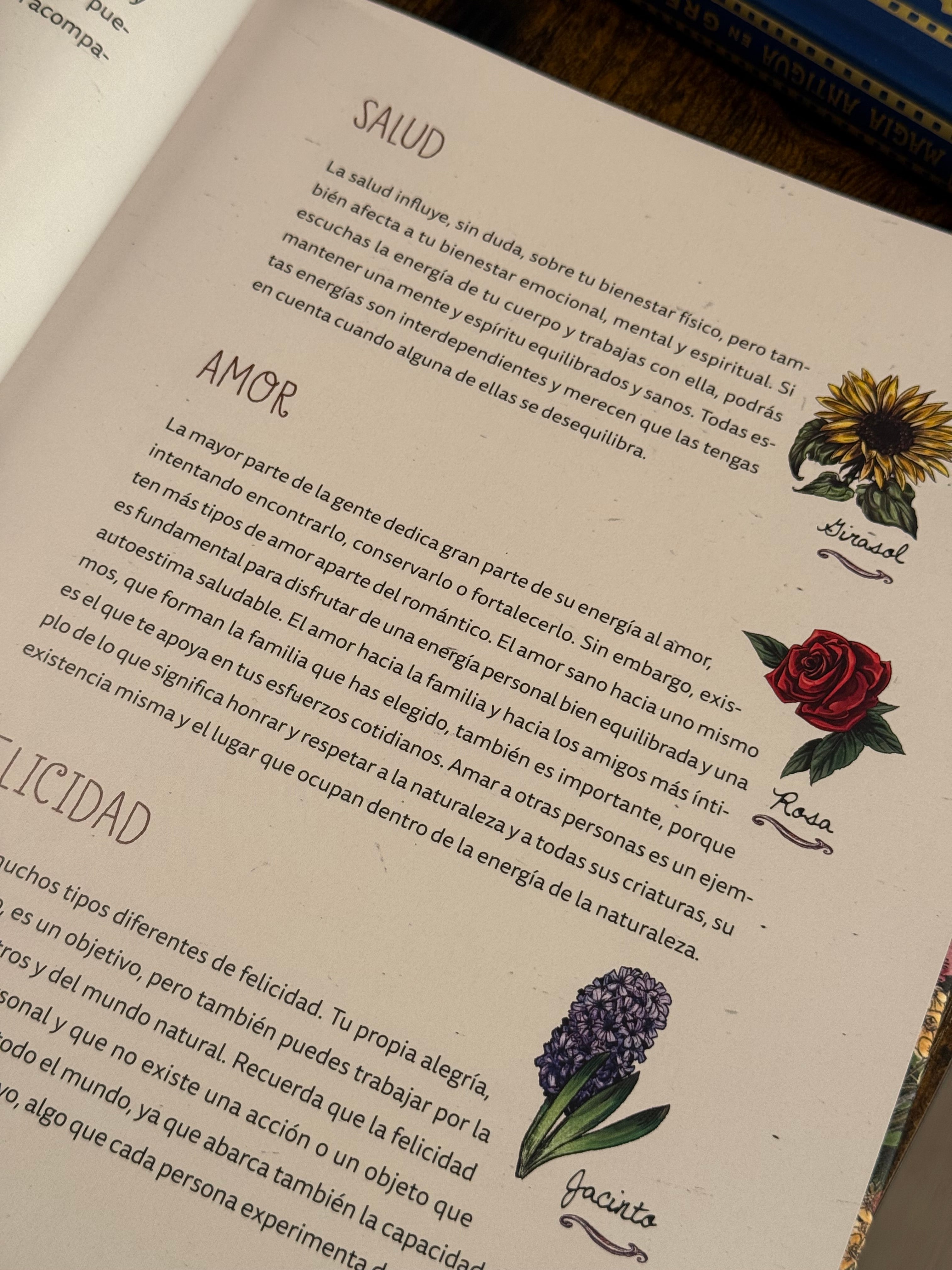 La Bruja Verde | Una mágica inmersión en el encanto de la brujería natural | Libro Ilustrado