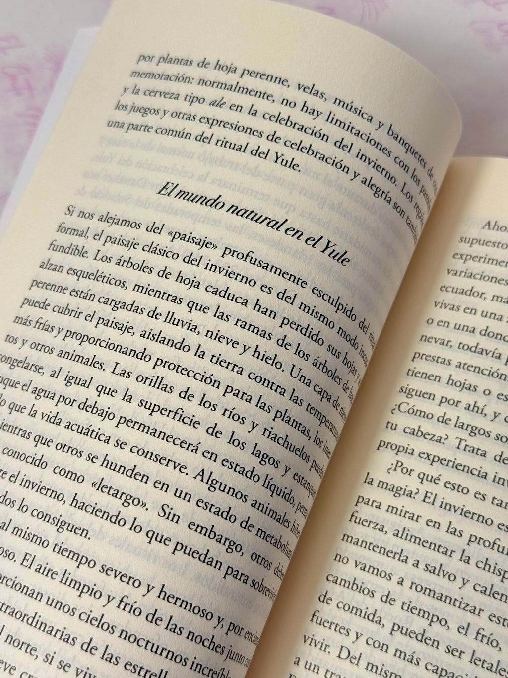 Yule | Rituales, recetas y tradiciones para la Navidad pagana