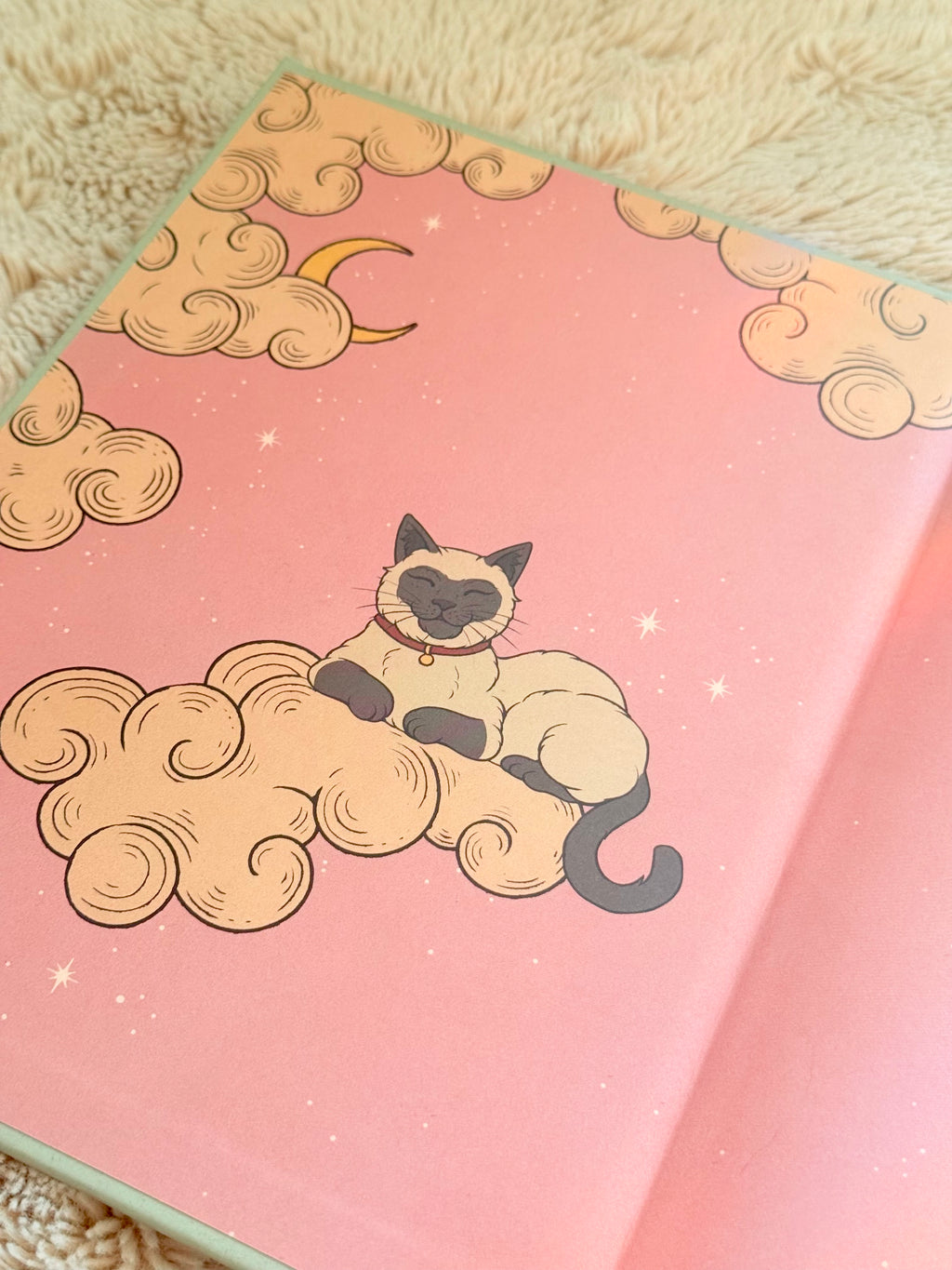 Gatos y Meditación | Guía de Ejercicios inspirados en los Felinos