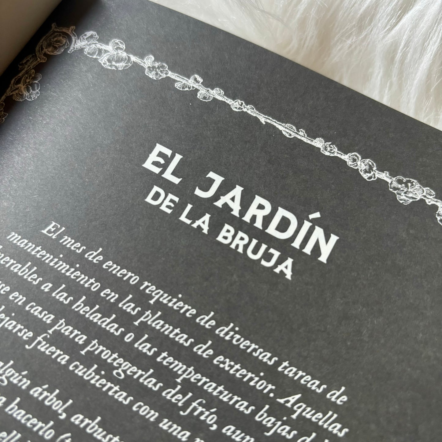 Almanaque de la Bruja Tradicional - Rituales, magia y folclore a lo largo del año