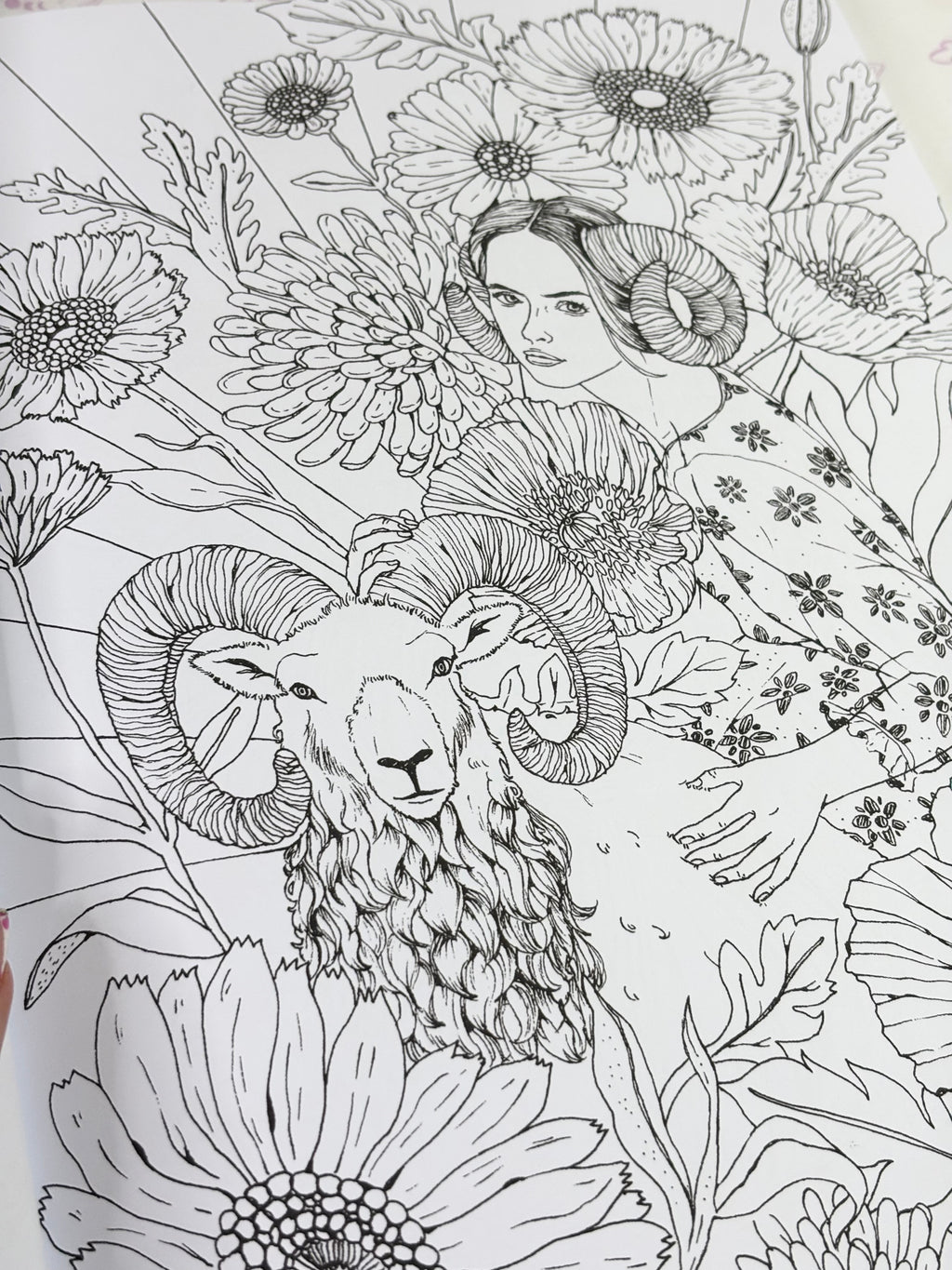 Astrología para Colorear