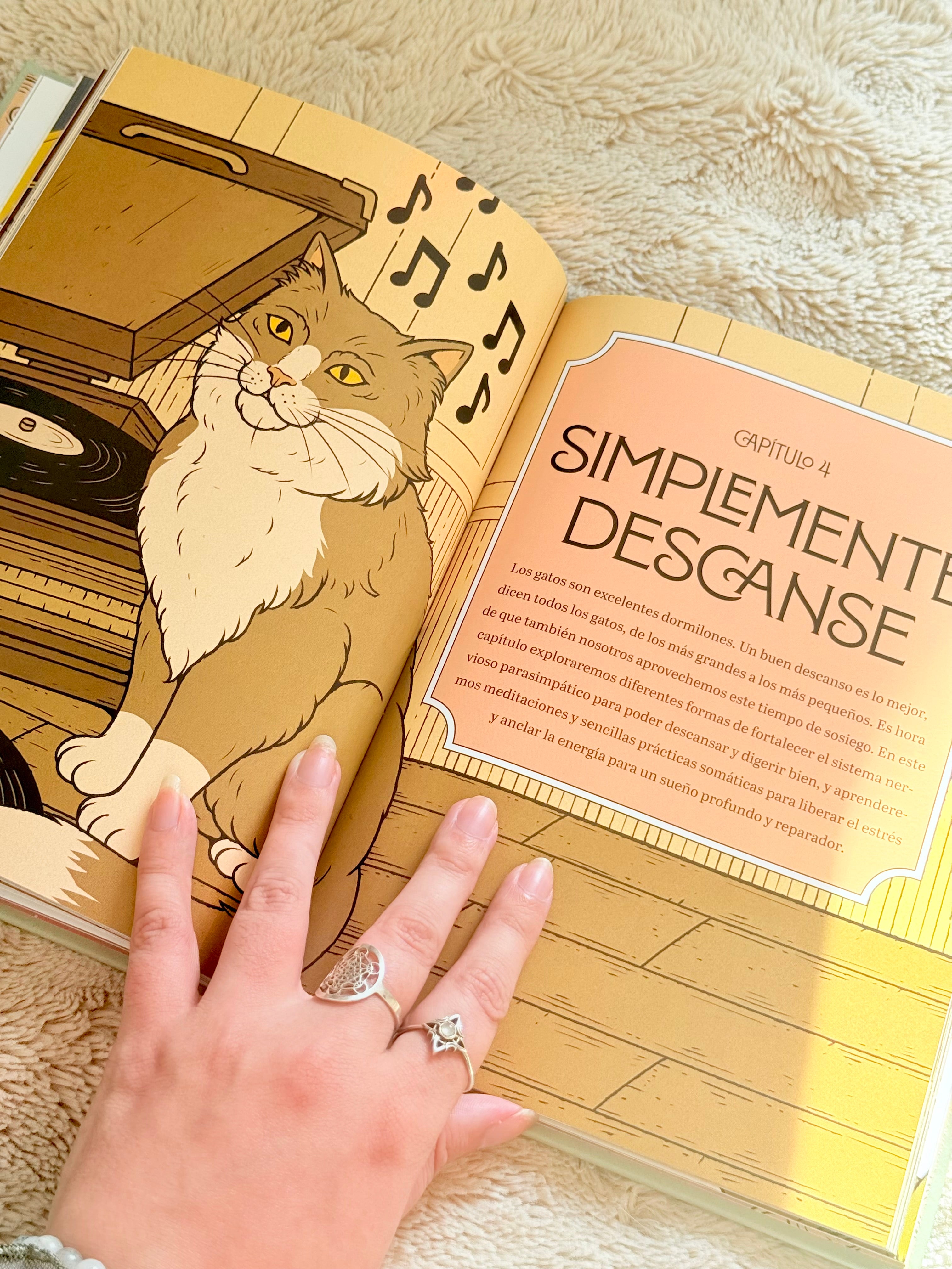 Gatos y Meditación | Guía de Ejercicios inspirados en los Felinos