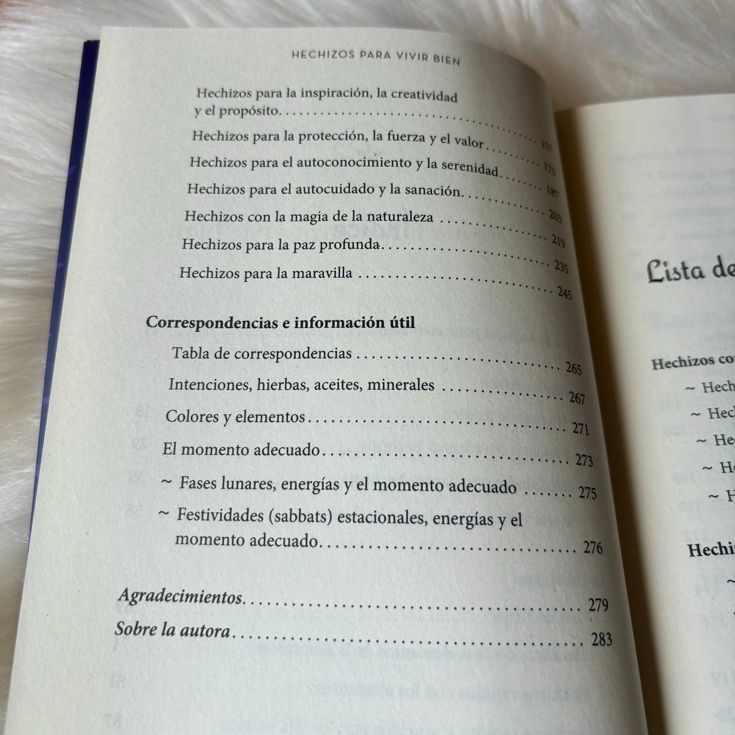 Hechizos para vivir bien - Sabiduría de brujas para vivir una vida maravillosa y plena