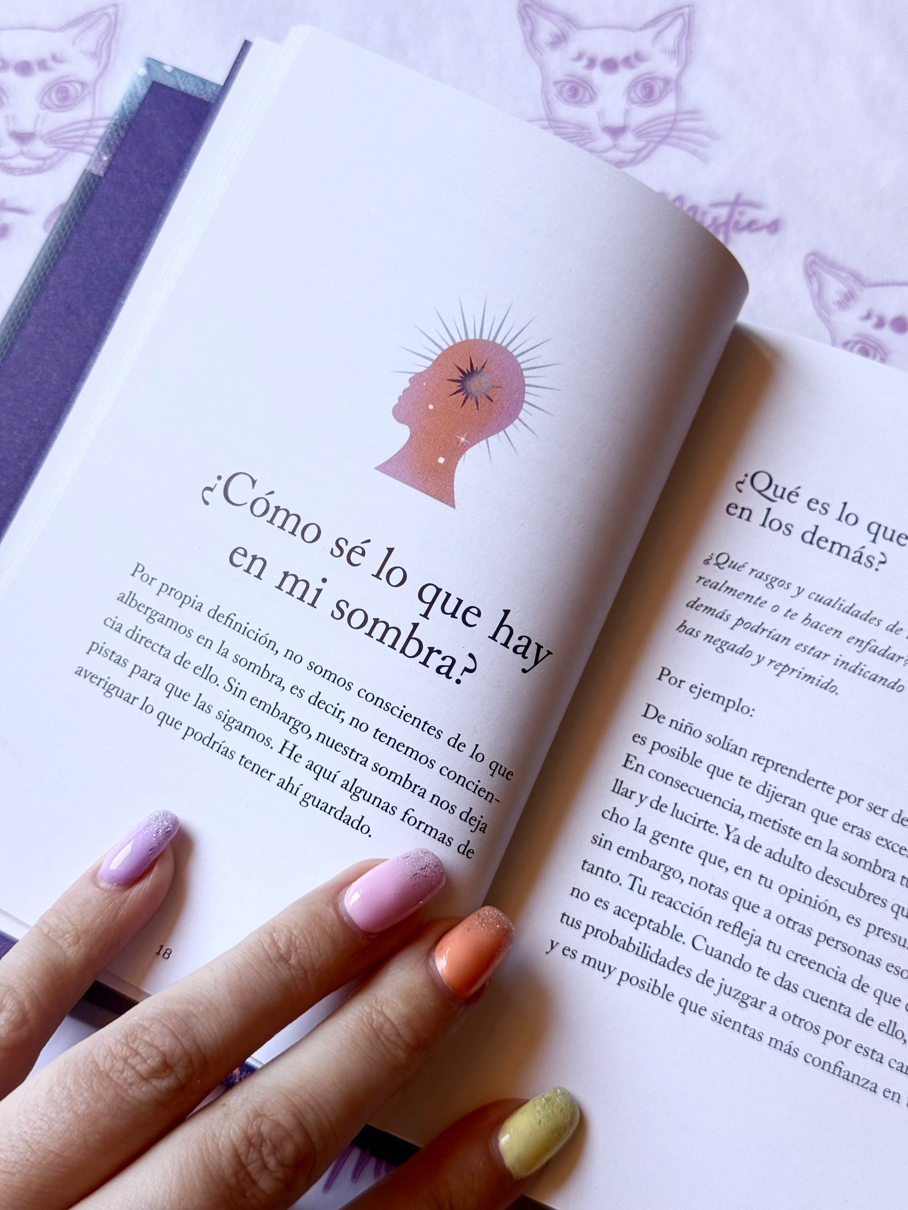 El pequeño libro del Trabajo de sombras