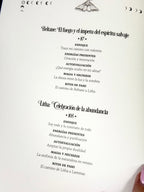 La Rueda del Año de la Bruja | Prácticas Mágicas y Festividades de Brujas