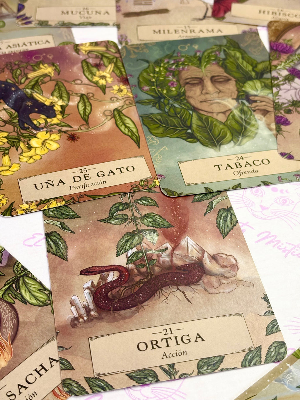 Astrología Herbal | Oráculo