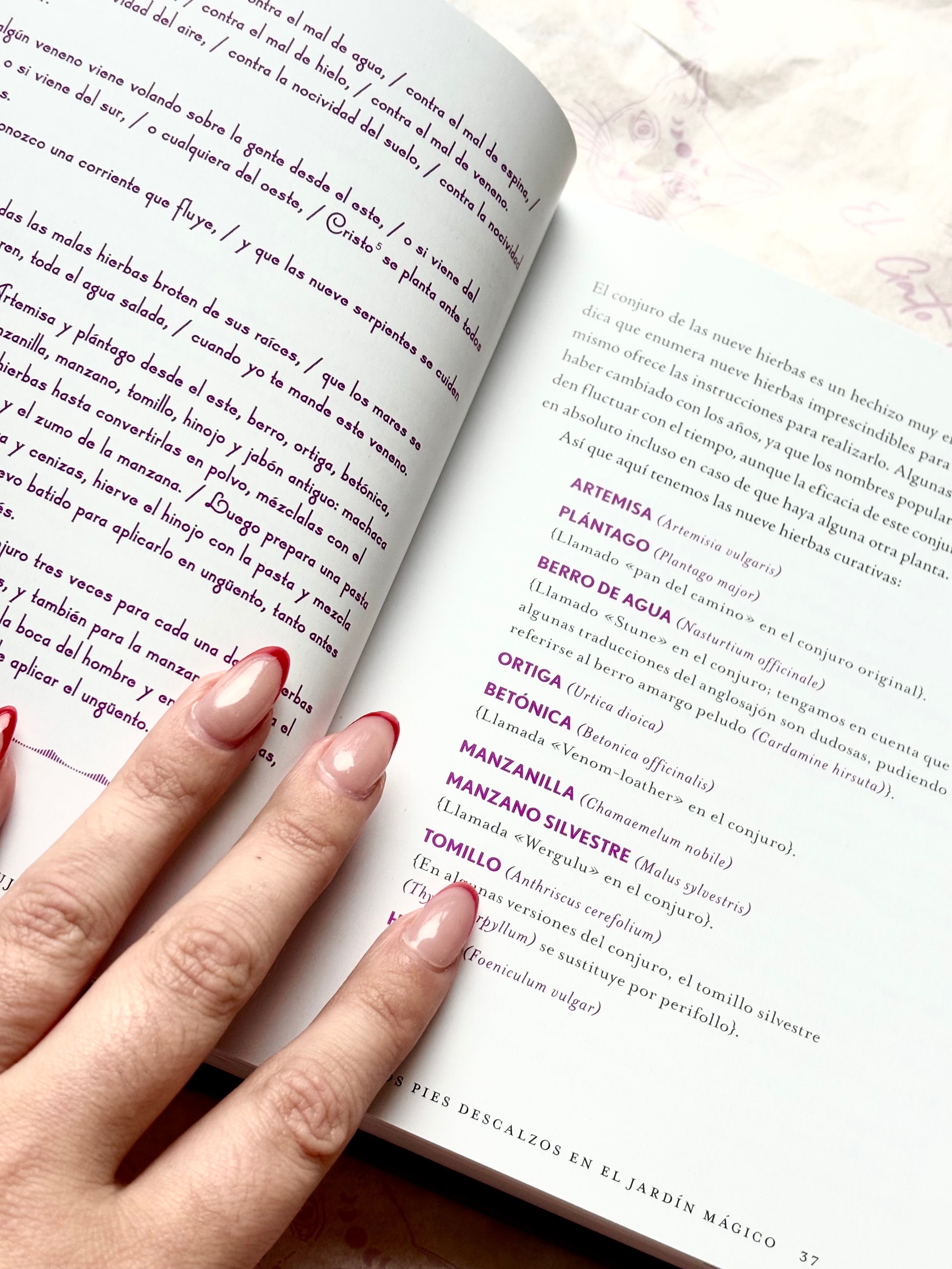 Guía de la Buena Bruja | Una wiccapedia moderna de ingredientes mágicos y encantamientos