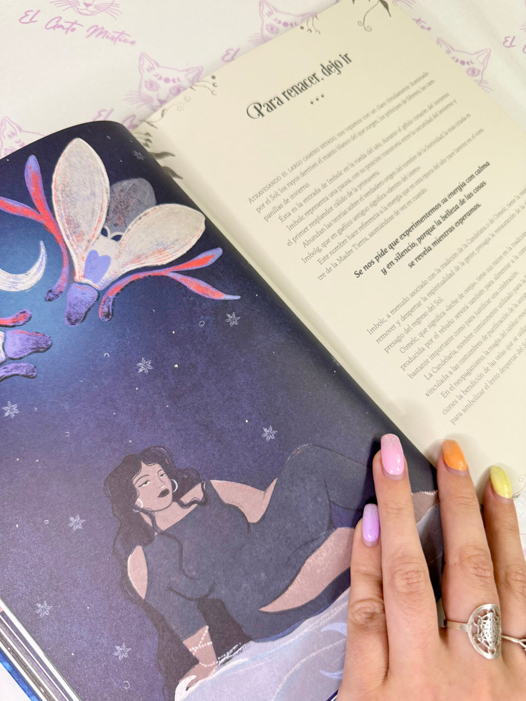 La Rueda del Año de la Bruja | Prácticas Mágicas y Festividades de Brujas