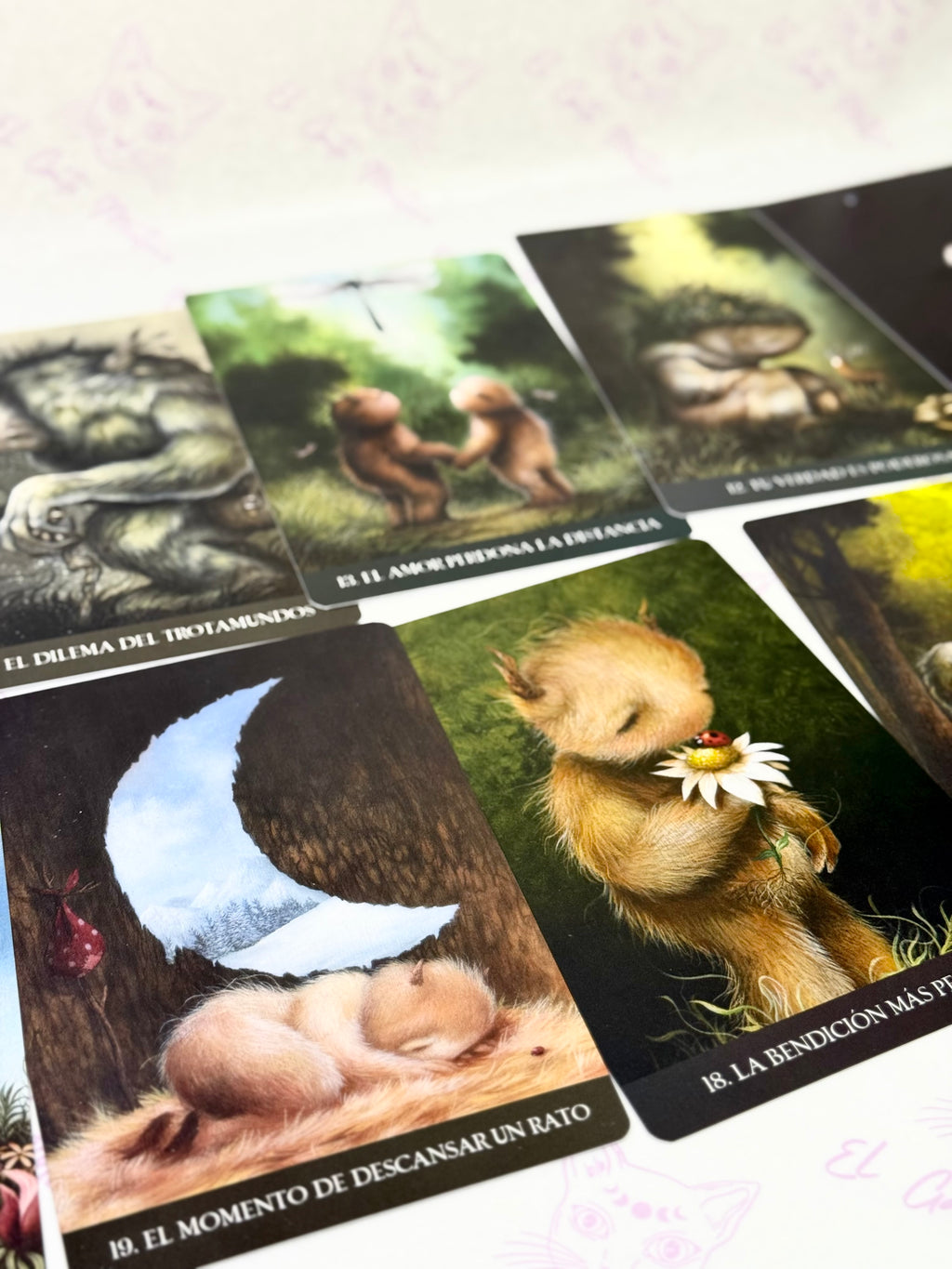 Oráculo En el Bosque Solitario | Bendiciones y Mensajes para momentos de soledad