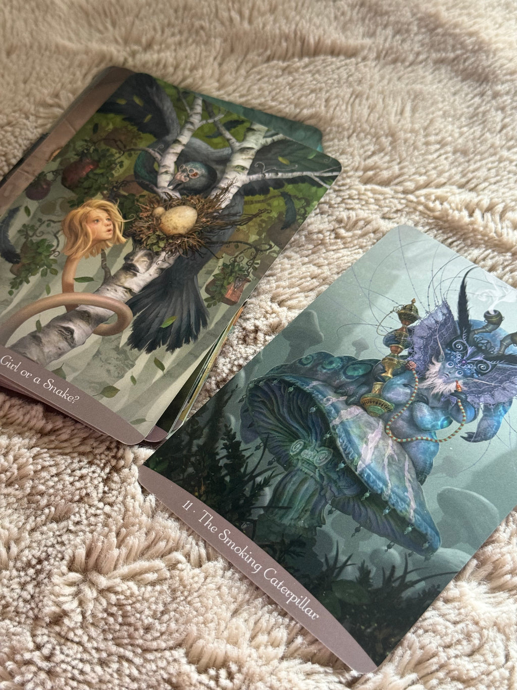 Oráculo Alicia en el País de las Maravillas | Libro en Español