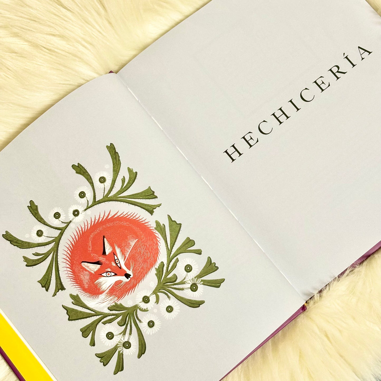 El libro de los hechizos: 150 rituales para conseguir lo que deseas (Enciclopedia visual)