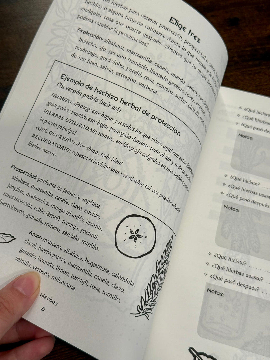 El cuaderno de las sombras de la Bruja Ecléctica | Un manual mágico para tu práctica diaria