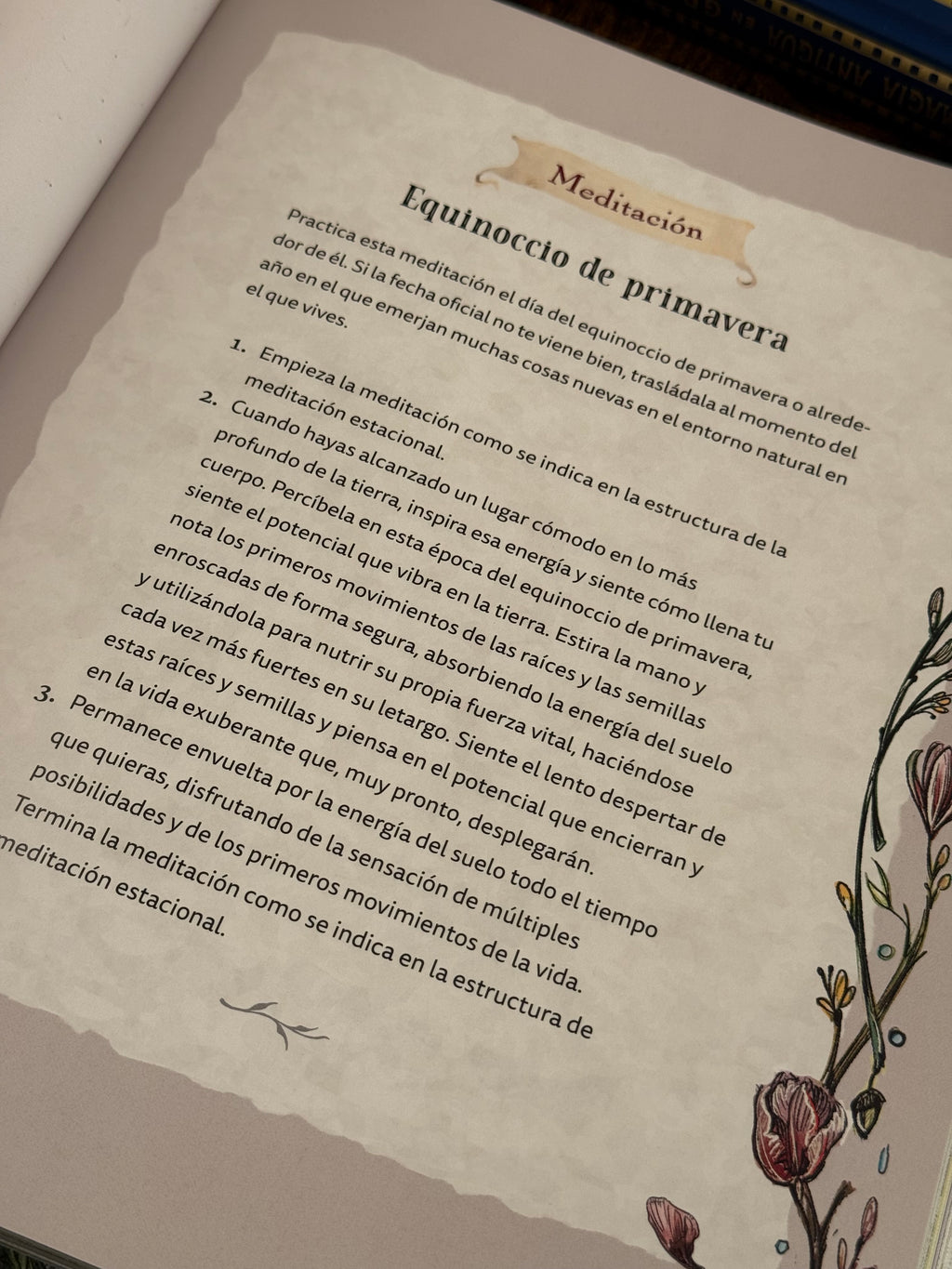 La Bruja Verde | Una mágica inmersión en el encanto de la brujería natural | Libro Ilustrado