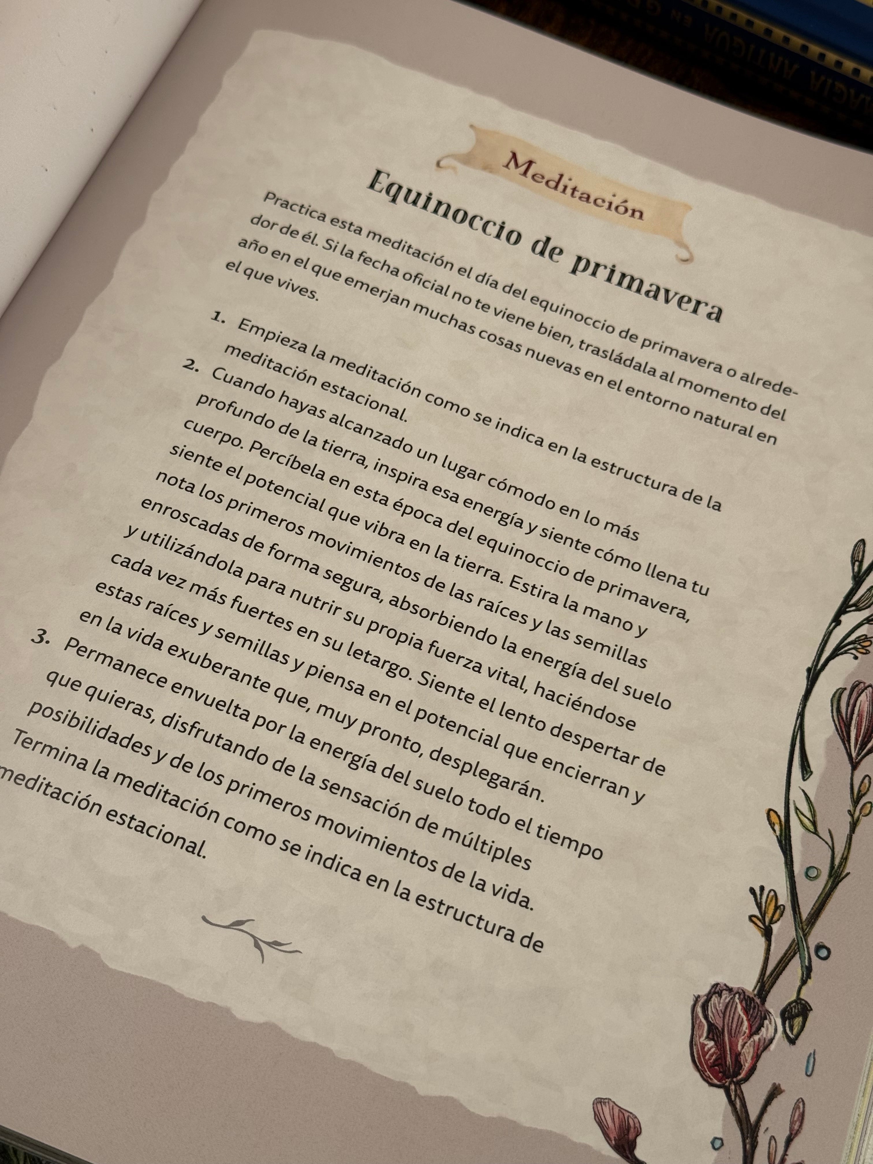 La Bruja Verde | Una mágica inmersión en el encanto de la brujería natural | Libro Ilustrado