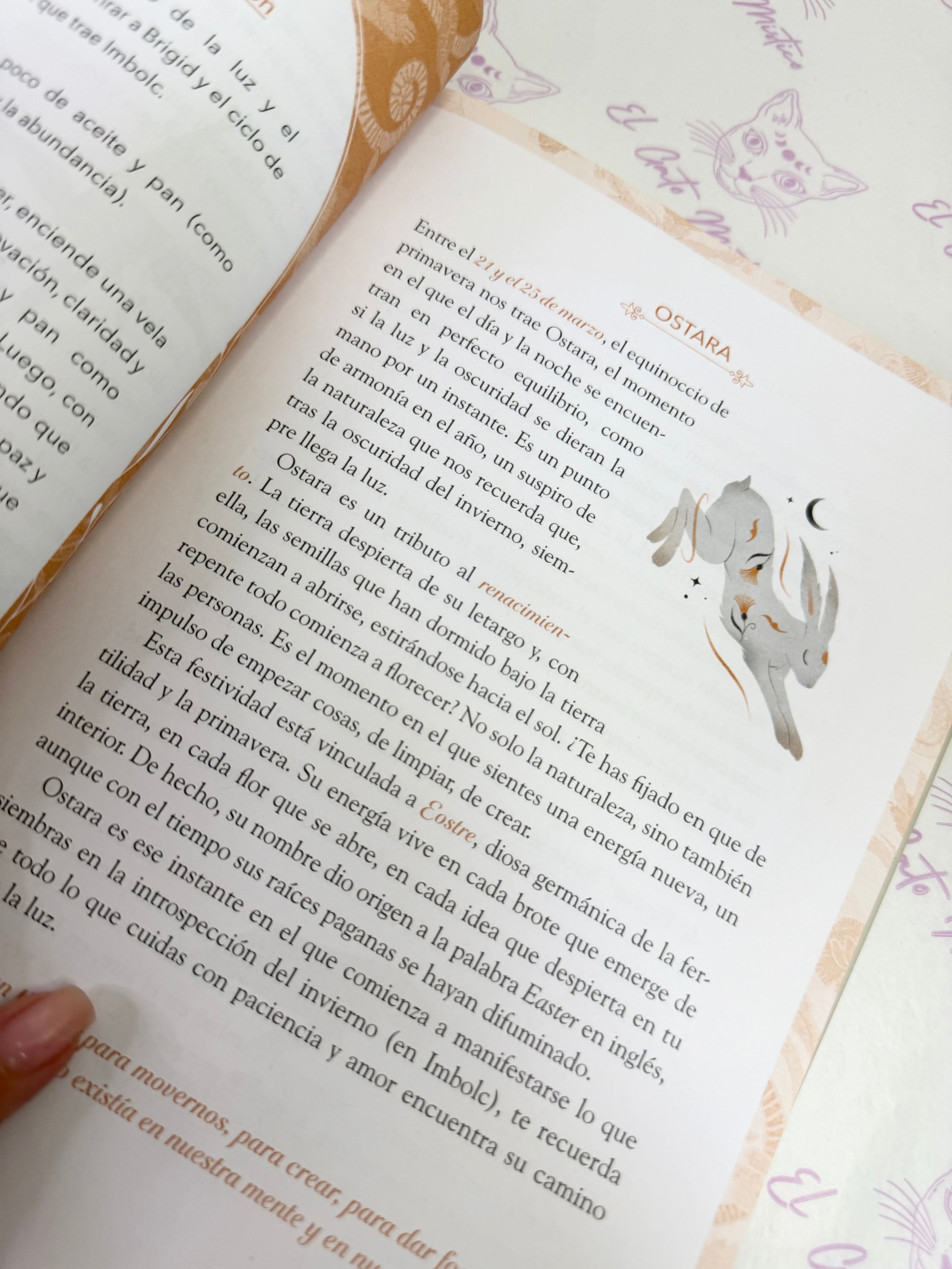 Entiende tu Magia | Descubre los secretos de la brujería y conecta con tu poder personal