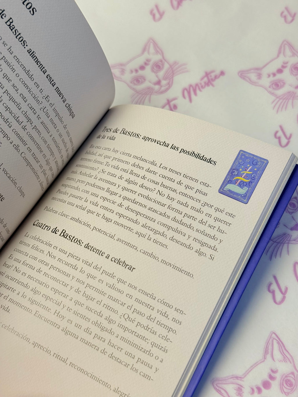 El pequeño libro del Tarot