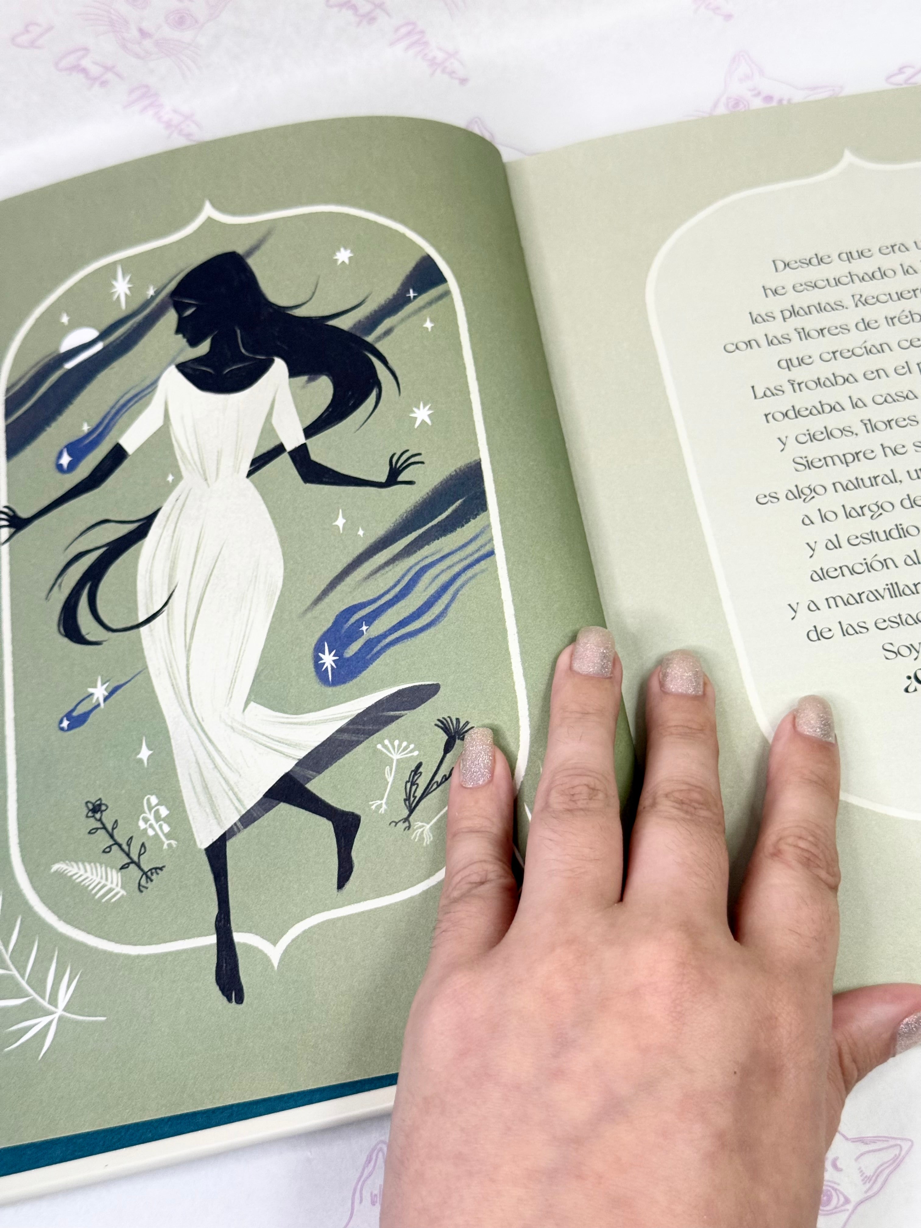 Herbana | La naturaleza Mística del Bosque