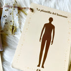 Discovering the Pendulum - Pendulum kit, guide and tables