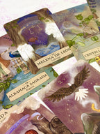 Astrología Herbal | Oráculo