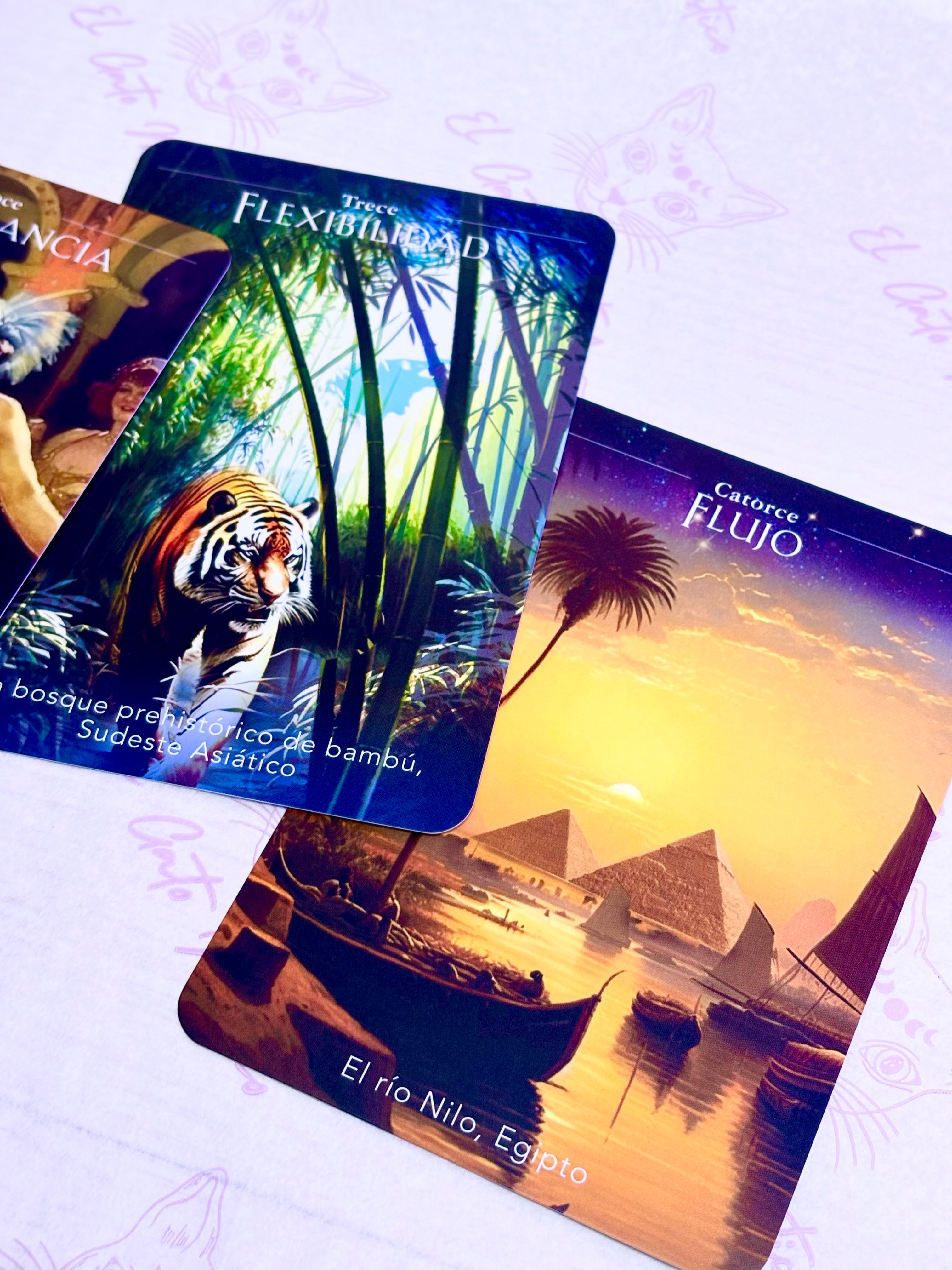 El viajero del tiempo | Oráculo