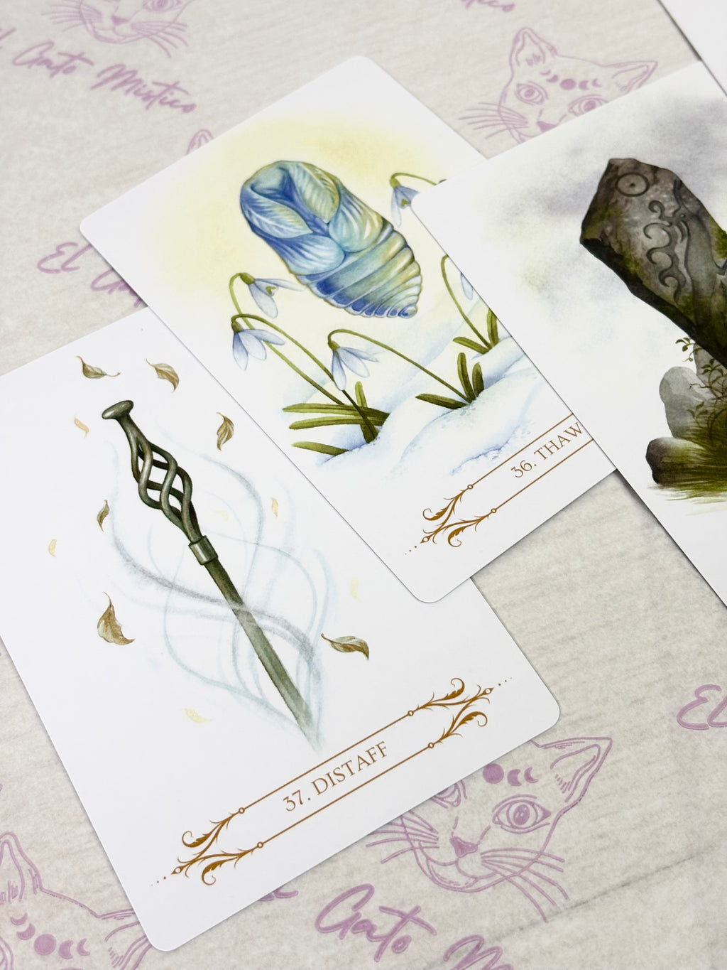 Oráculo A Compendium of Witches | Cartas+libro en 4 idiomas