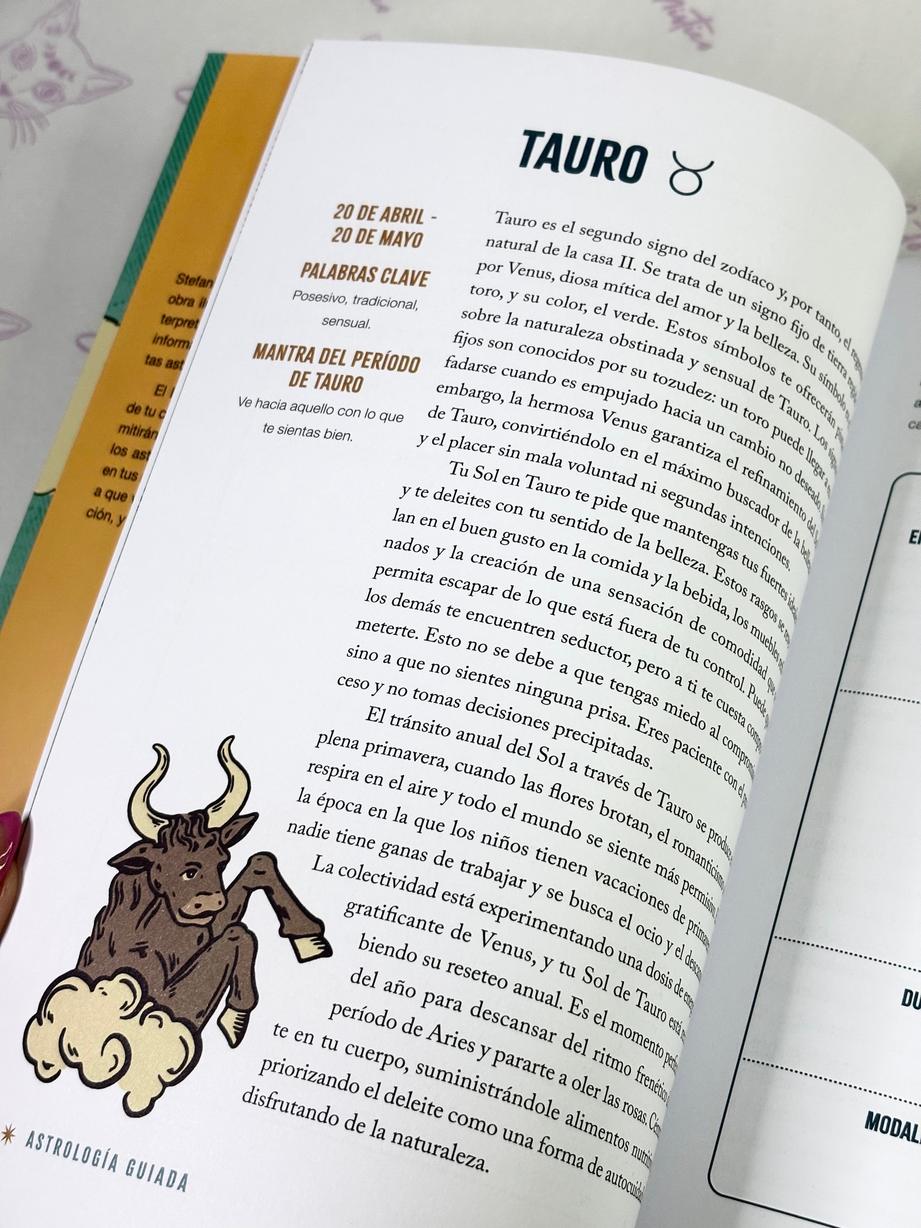 Astrología Guiada | Guía paso a paso