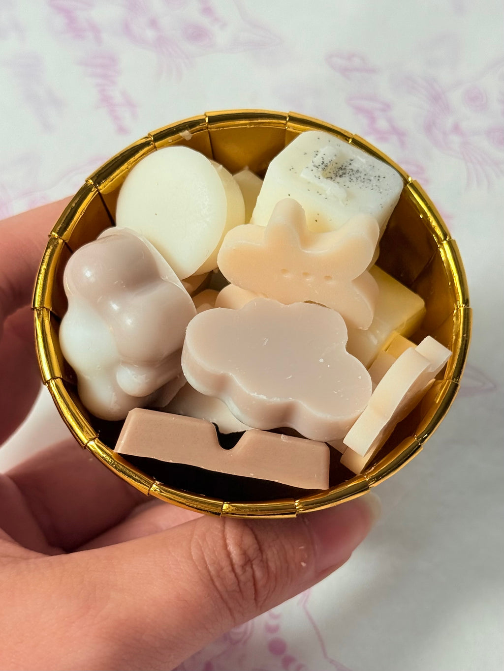 Degustación Wax Melts de Invierno | Sorgin Sua