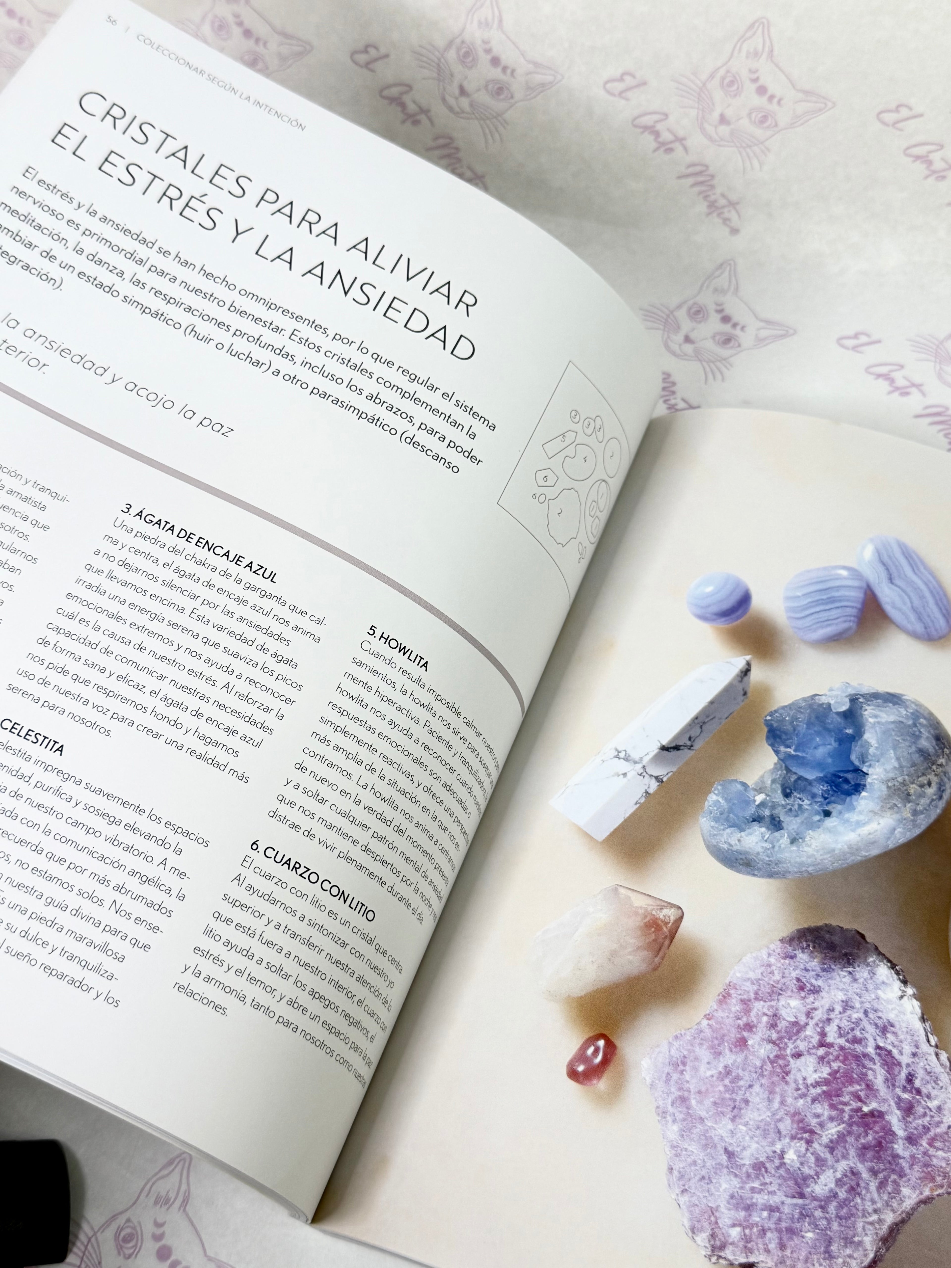 Su Colección de Cristales | Cómo crear una colección de cristales y piedras para toda la vida