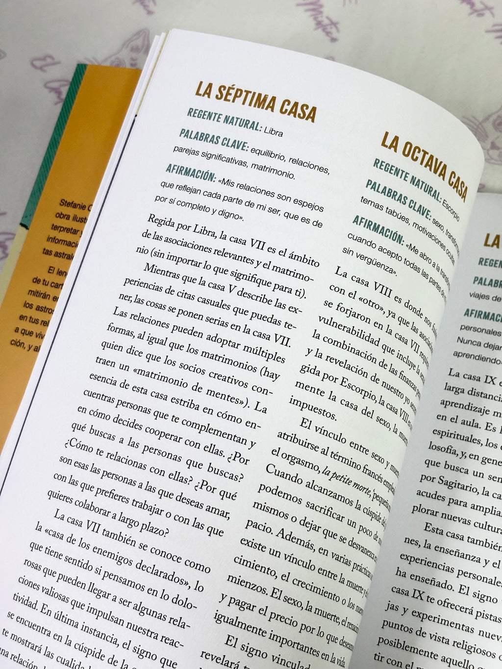Astrología Guiada | Guía paso a paso