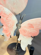 Mariposa de Ópalo Rosa calidad Extra con soporte | Piedra del Corazón